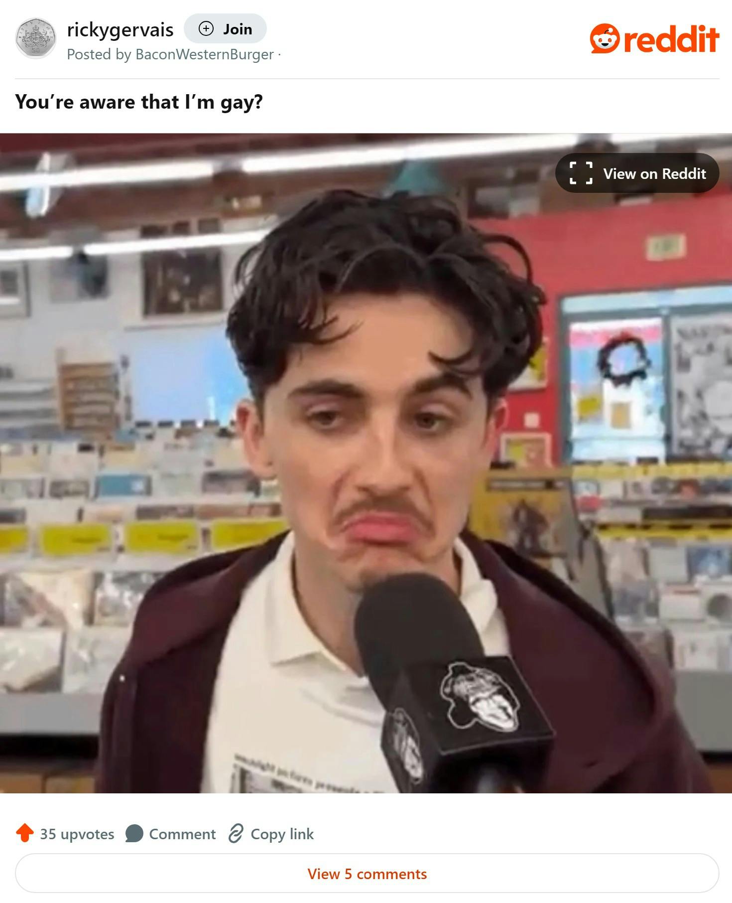 'you're aware that i'm gay?' timothee chalamet frowning meme