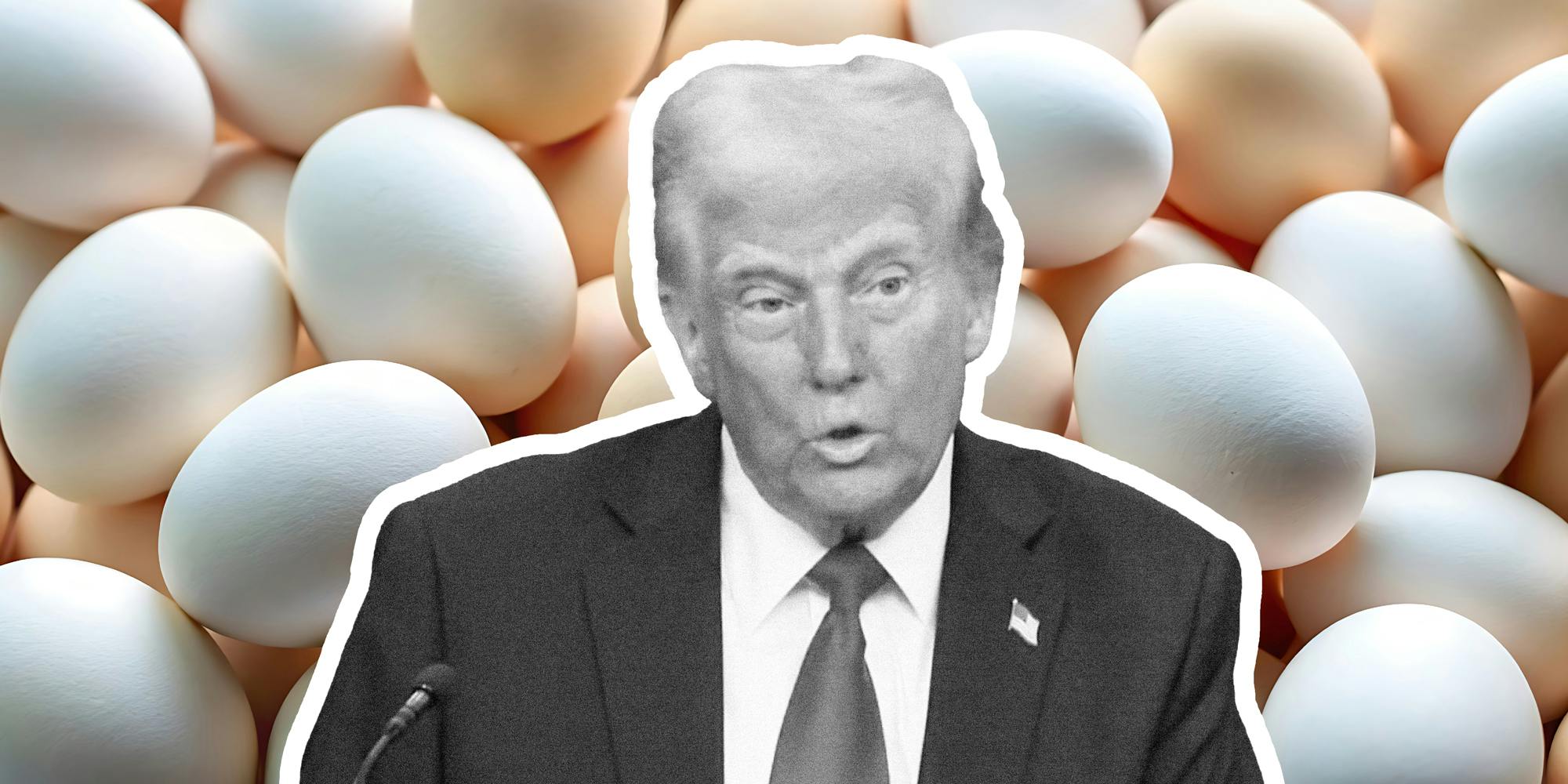 Photo collage image of Donald Trump in front of a bunch of eggs.