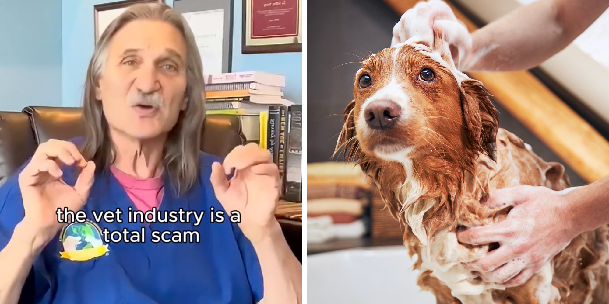 Man talking with text 'the vet industry is a total scam'(l), Dog getting shampooed(r)