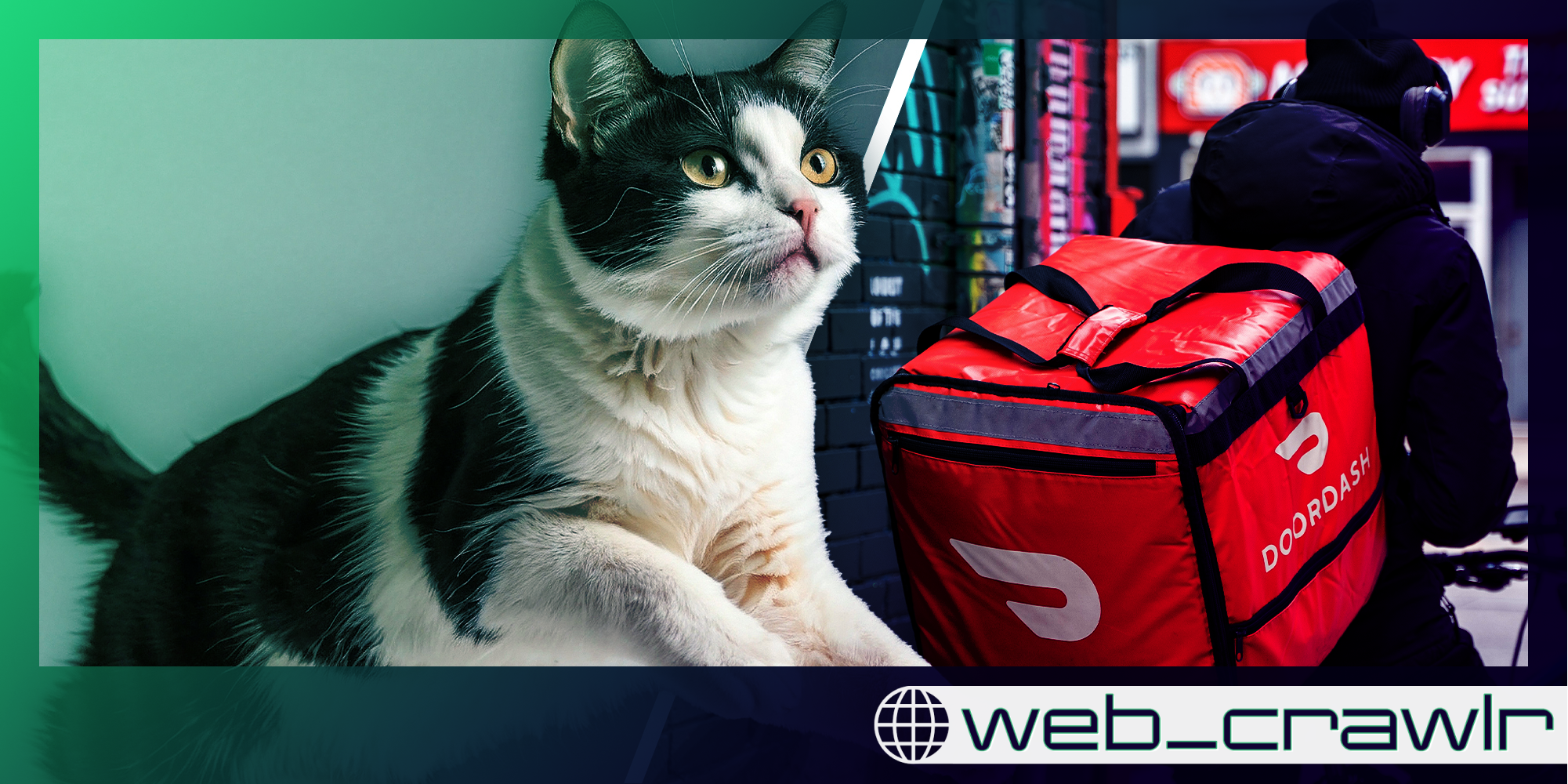 Cat jumping(l) Doordasher with bag(r)