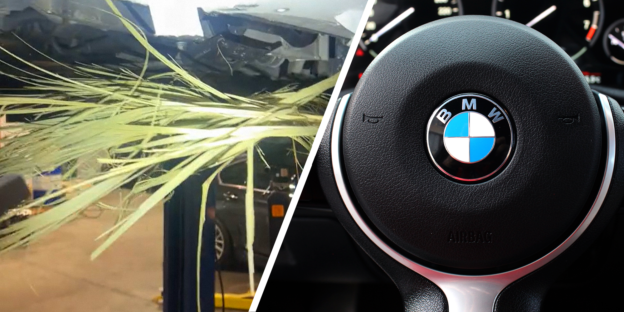 Split image. Photo showing car and palm leaf that was hit on left. BMW logo on steering wheel on right.