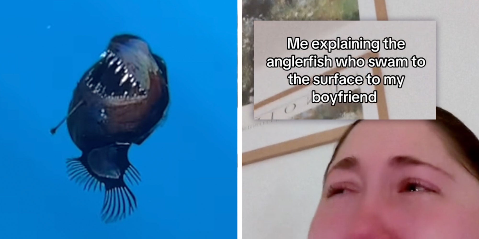 Screenshot from @jara.natura's Instagram of an anglerfish floating to the surface of the ocean; Screenshot from @savannahbellexoxo with the caption 'Me explaining the anglerfish who swam to the surface to my boyfriend'.