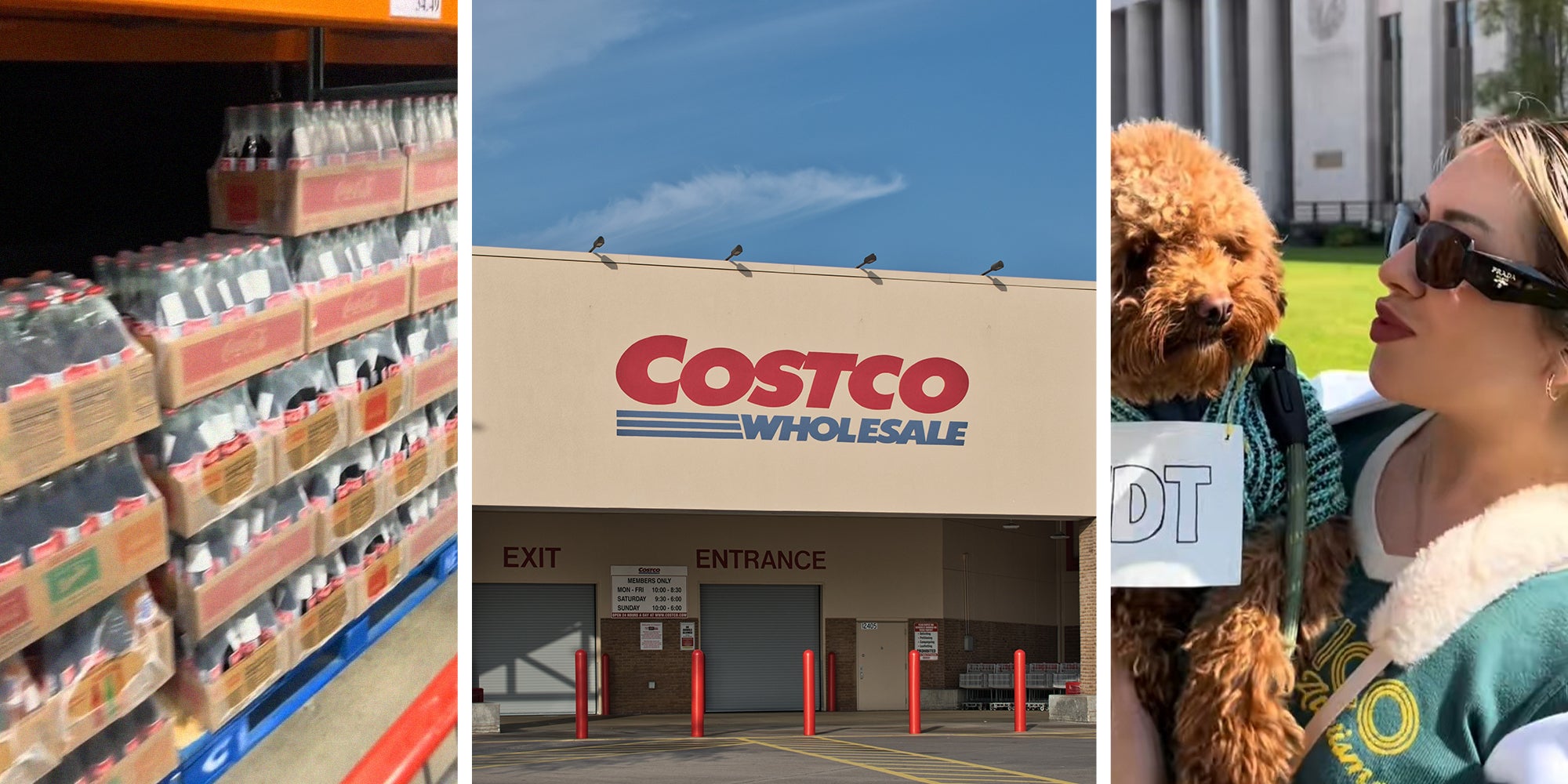 cases of sodas at costco(l) Costco Wholesale building(c) Woman holding up her puppy(r)