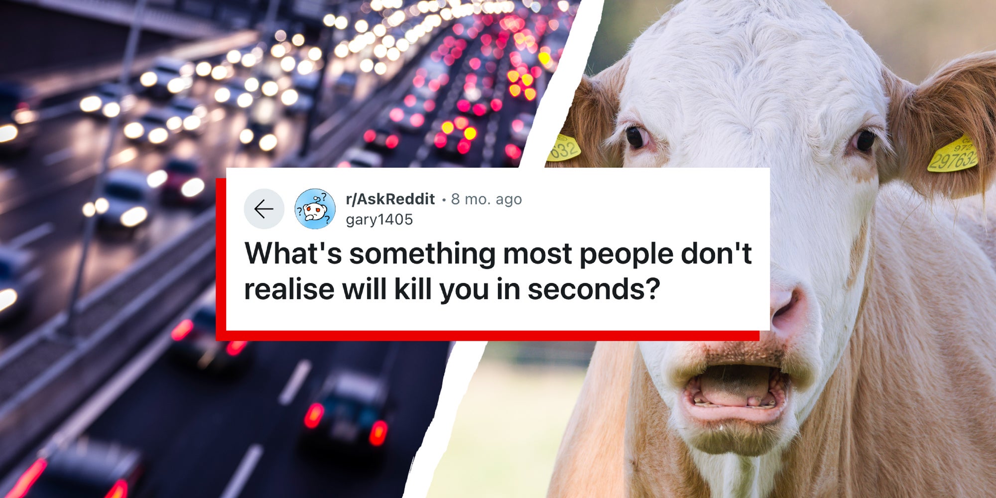 2 panel image: on the left is rushing freeway traffic and on the right is a cow. In the middle is a reddit thread with the prompt: What's something most people don't realise will kill you in seconds?