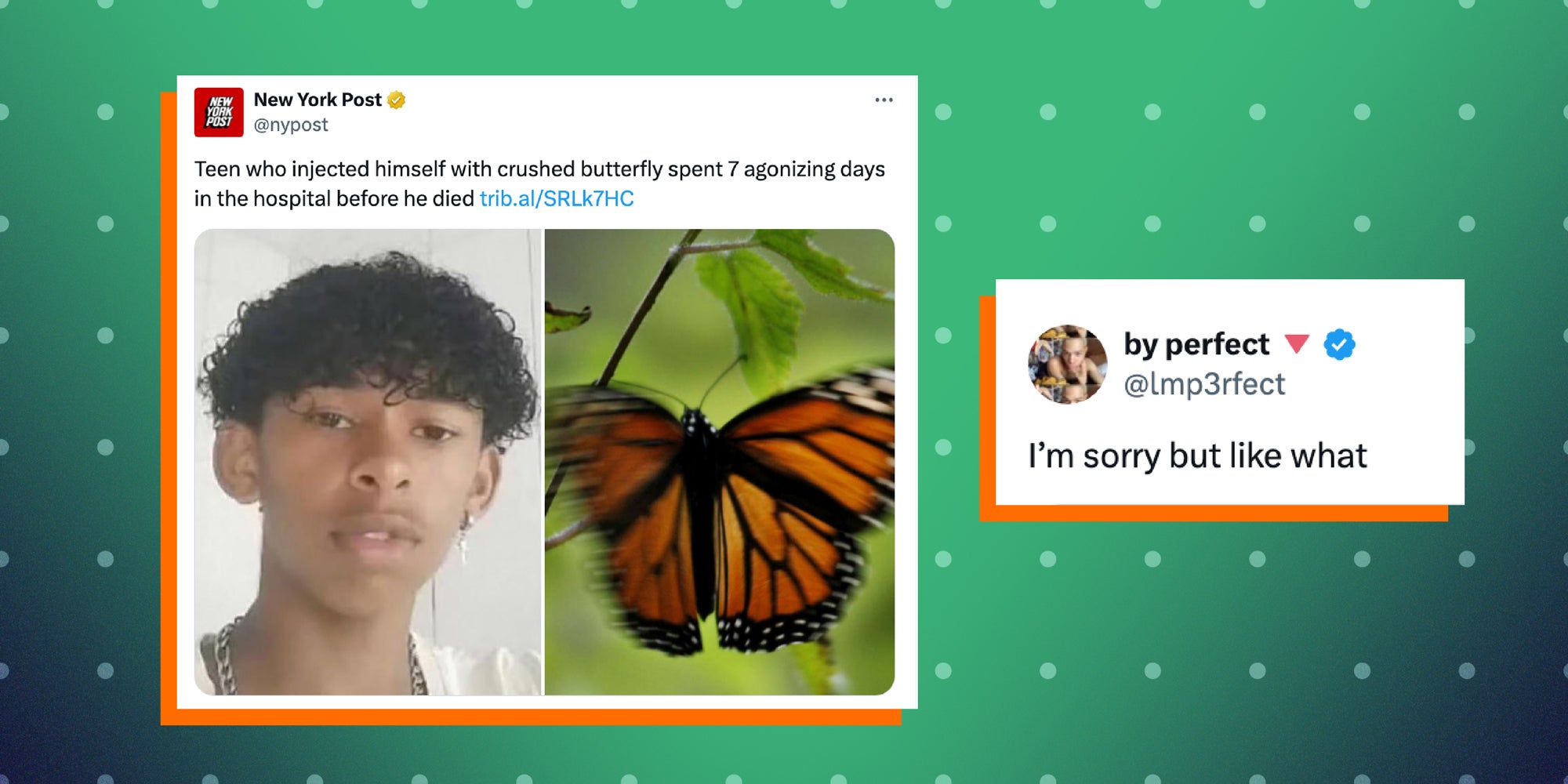 2 panel image: one a post from NYPost that reads: Teen who injected himself with crushed butterfly spent 7 agonizing days in the hospital before he died. And another post: I'm sorry but like what