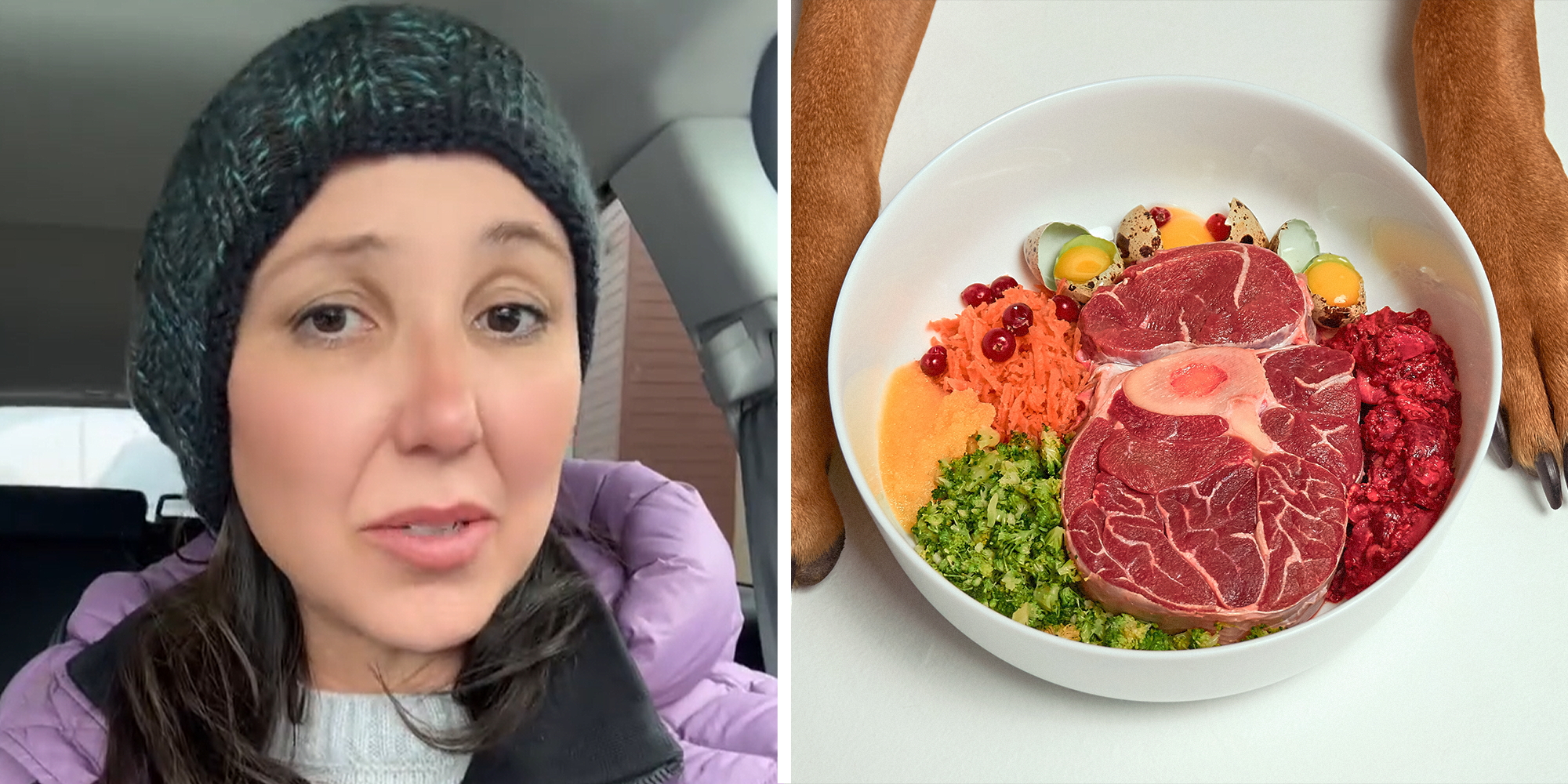 Woman explaining dangers of raw pet food diet during bird flu on left. Raw pet food by dog paws on right.