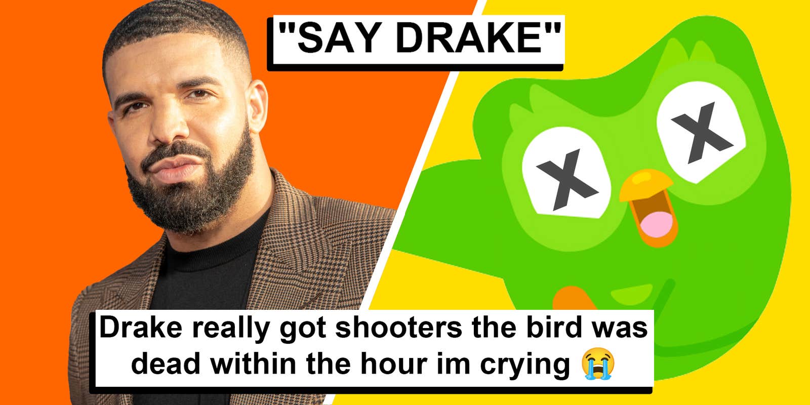 The Duolingo Owl is dead—and fans are blaming Drake
