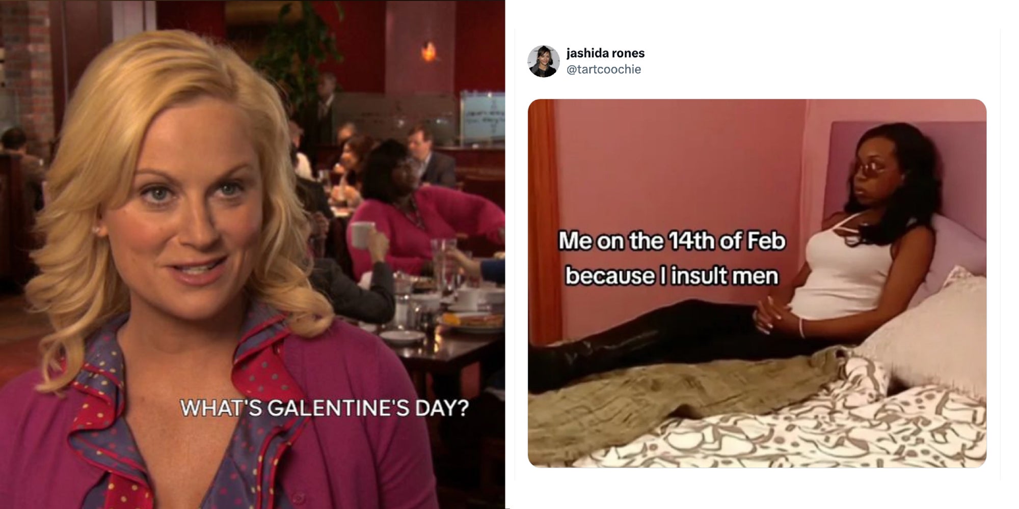 2-panel image: on the left is a seen from Parks and Recreation and on the right a well-known meme from Flavor of Love. Text over: What's Galentine's Day?