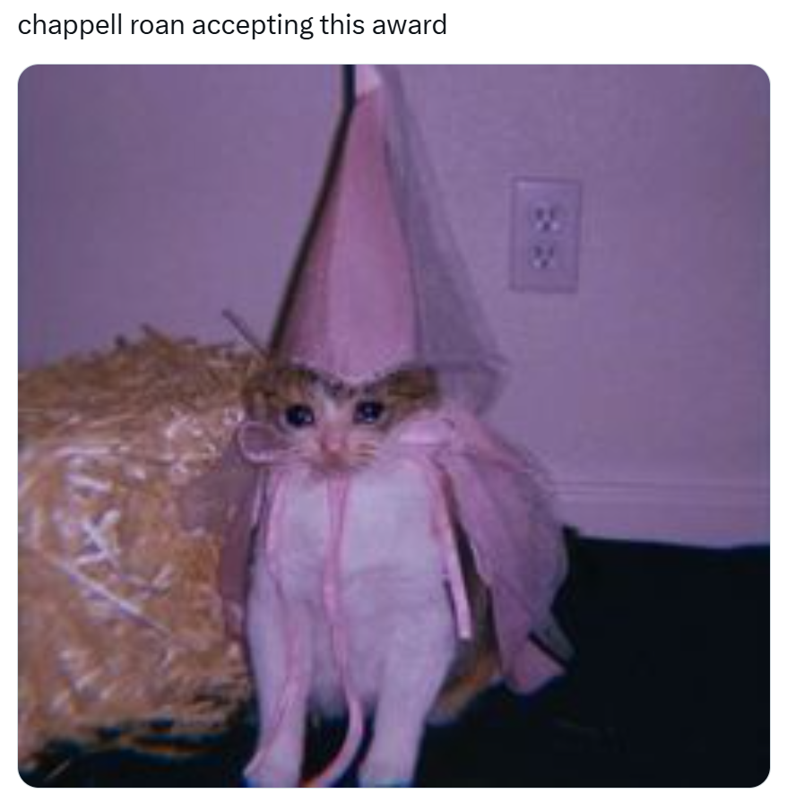 Grammys meme, text reads, 'chappell roan accepting this award' with a photo of a sad kitty in a princess outfit.
