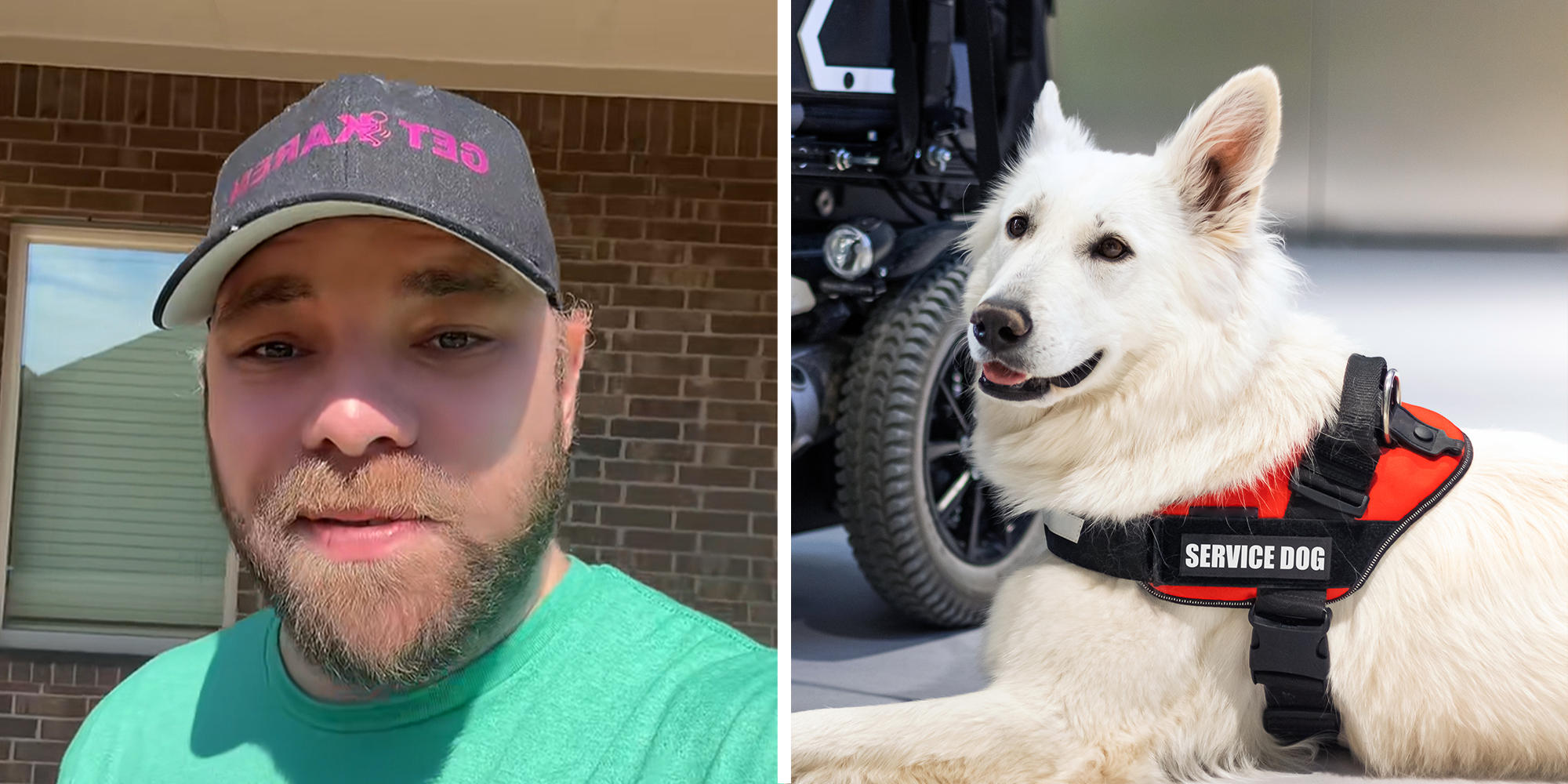 Bearded man wearing cap and green shirt on left. White long haired shepherd dog in orange 'service dog' vest on right.