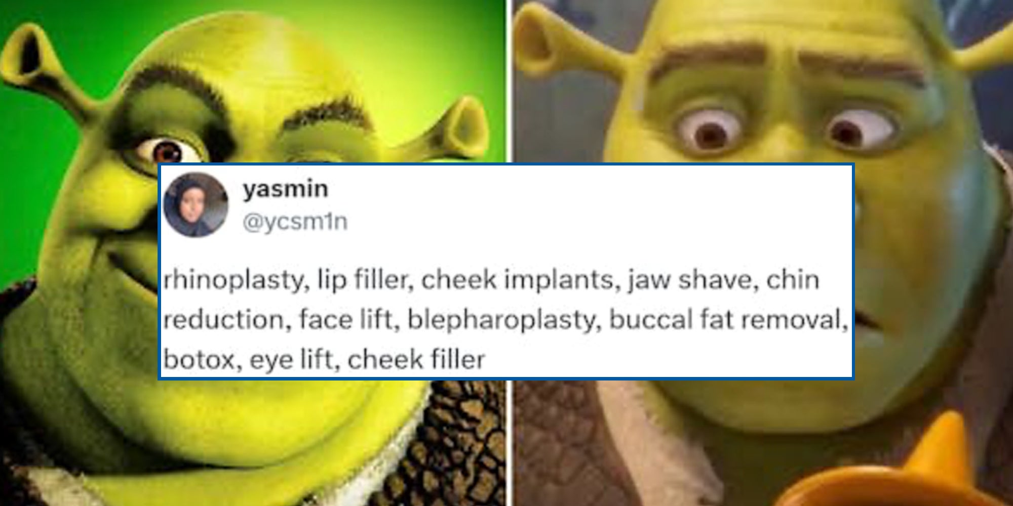 Homepage article image