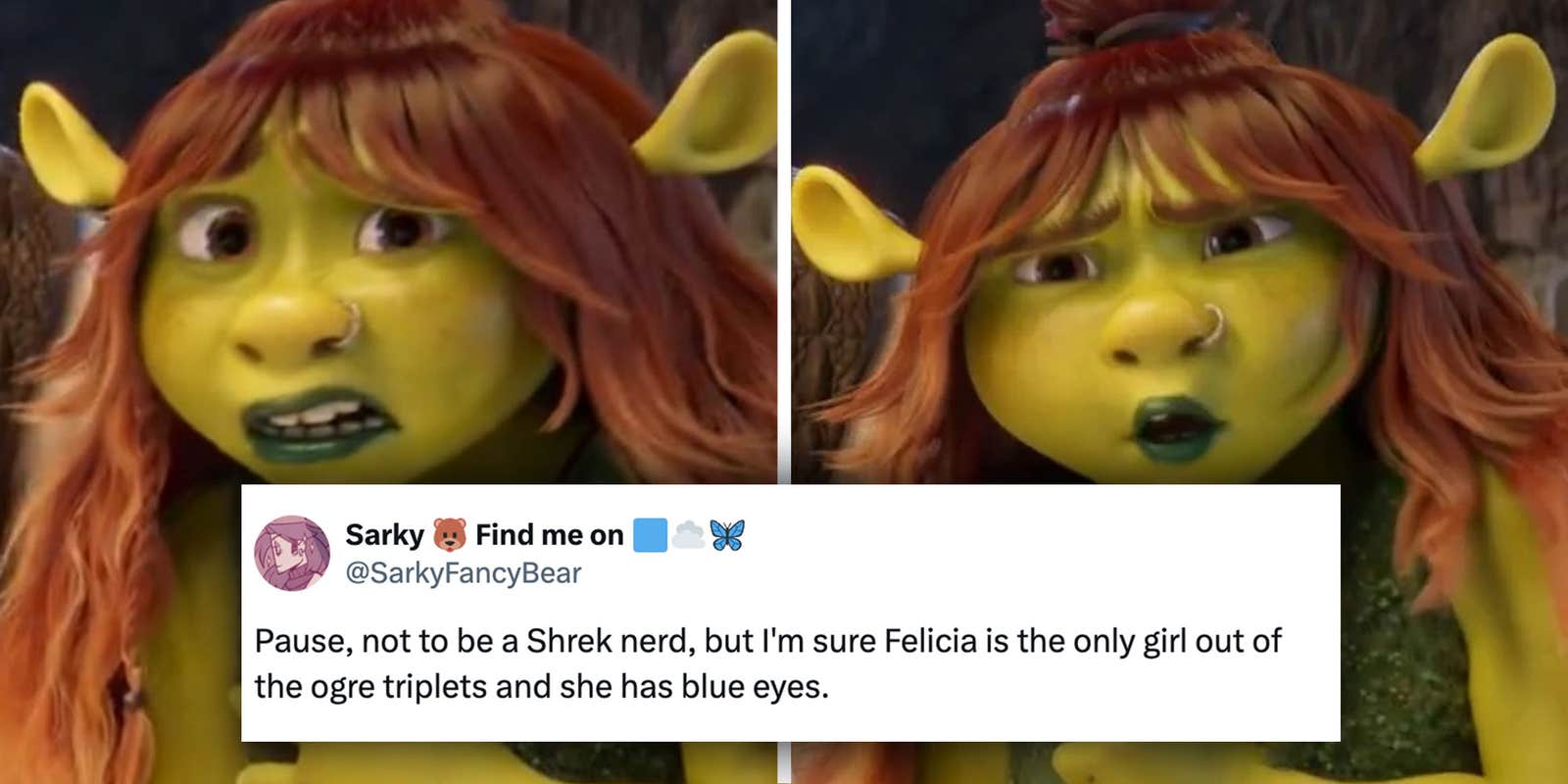 Is Shrek's Daughter Trans In 'Shrek 5'?