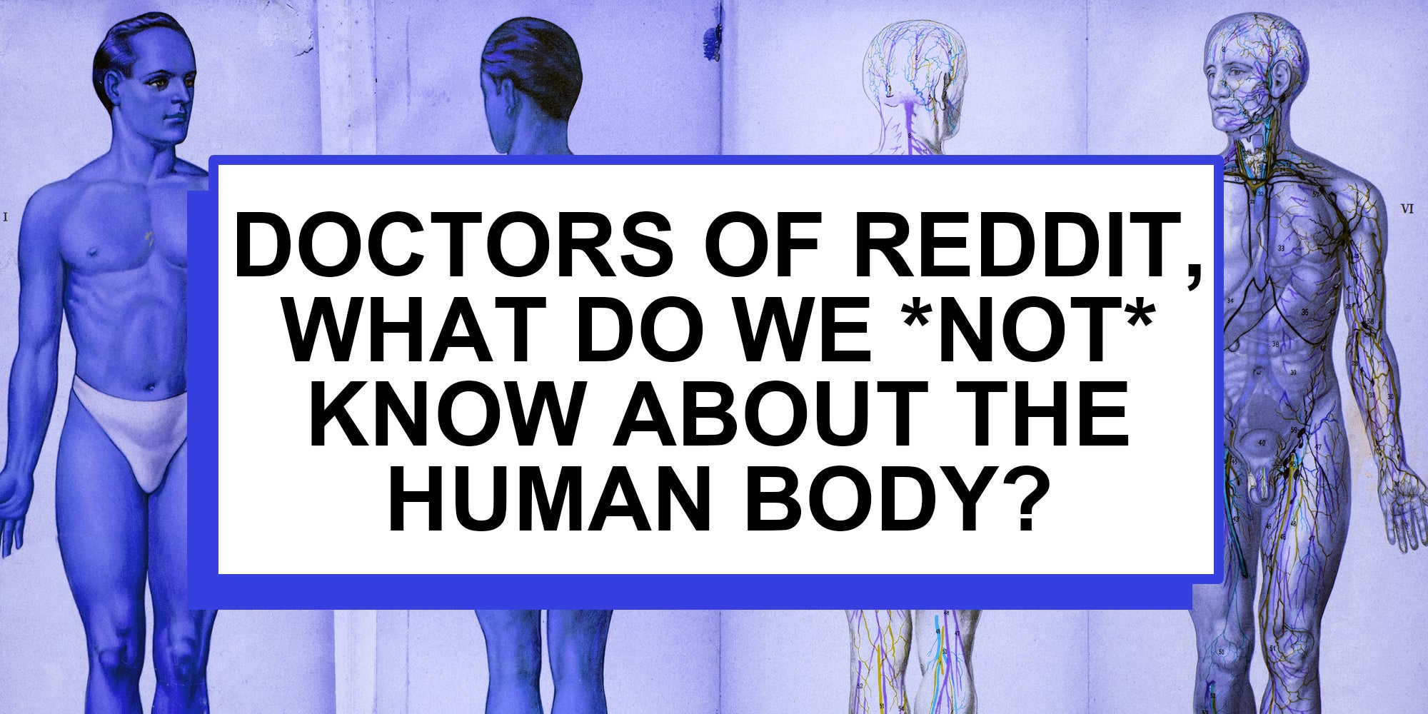 four split of man's body exterior and interior with text over 'Doctors of reddit, what do we *not* know about the human body?'