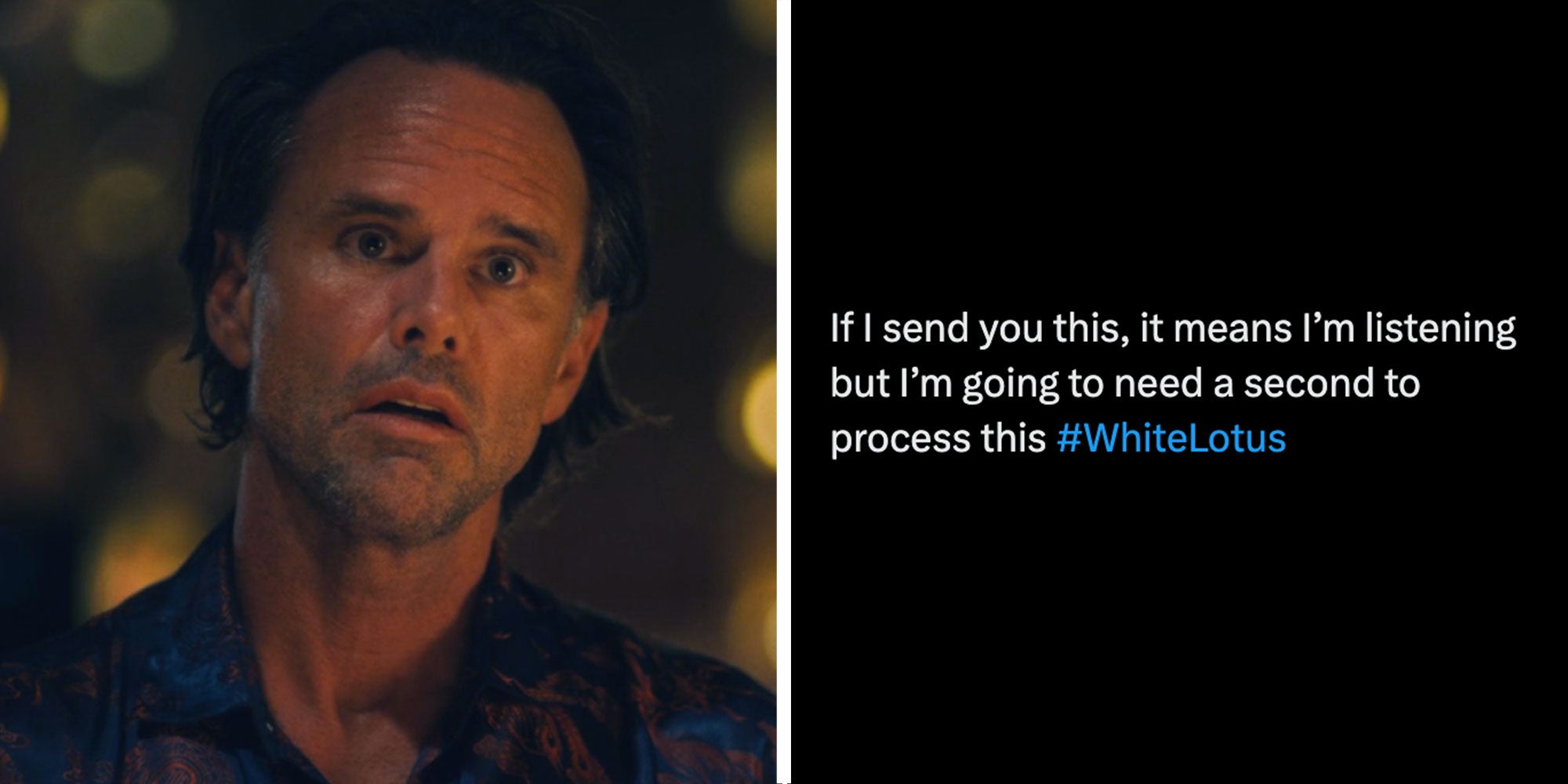 Two panel design with a man looking shocked and confused at the same time, next to text reading 'If I send you this, it means I'm listening byt I'm going to need a second to process this #WhiteLotus'