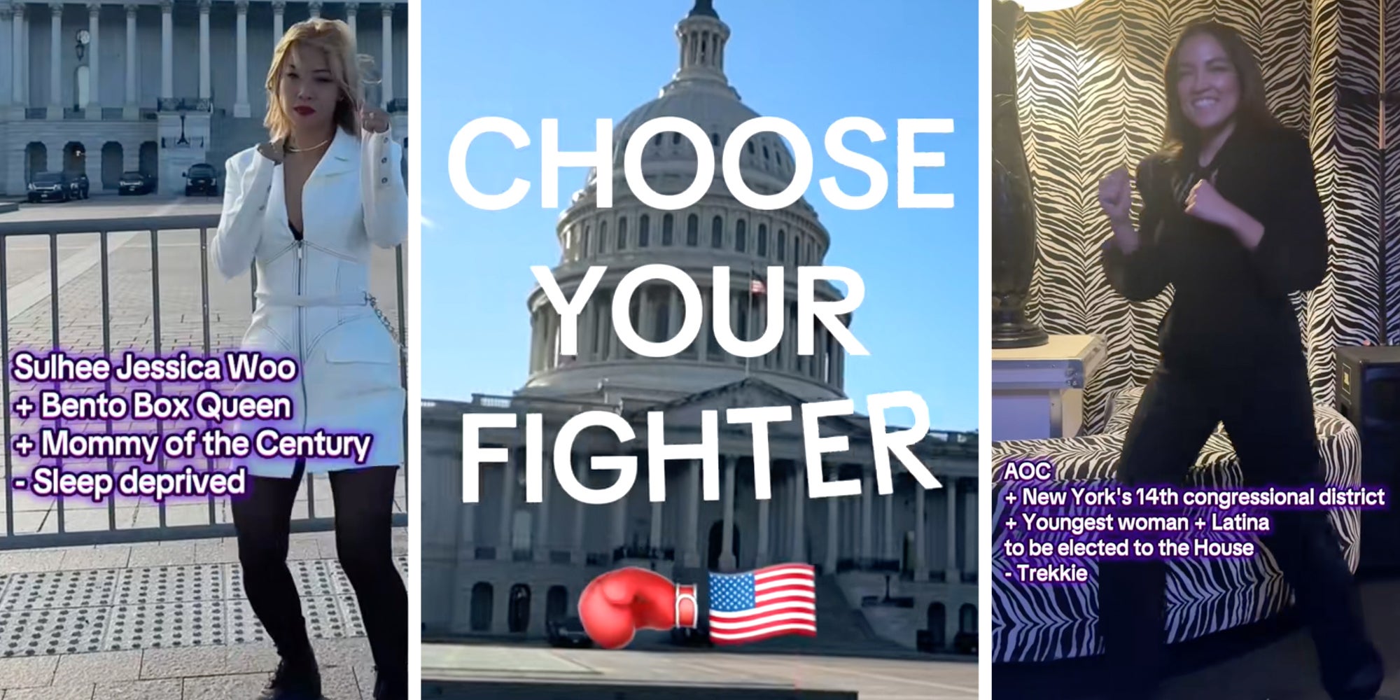 Woman standing with text 'sulhee jessica woo +bento box queen + mommy of the century - sleep deprived'(l), Capitol building with text 'choose your fighter'(c), AOC in fighter pose with text 'AOC + New York's 14th congressional district +Youngest woman + Latina to be elected to the House - Trekkie'(r)