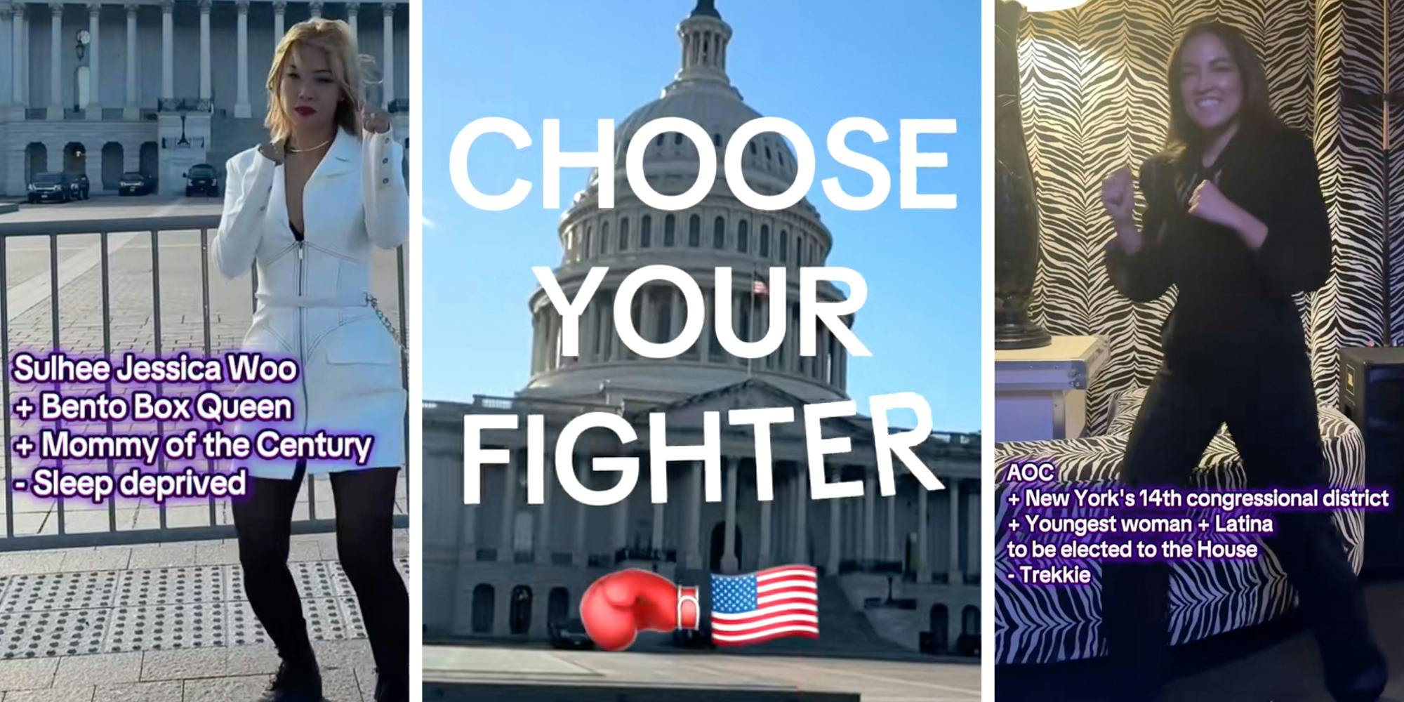 Dems 'Choose Your FIghter' Meme Roasted By Liberals