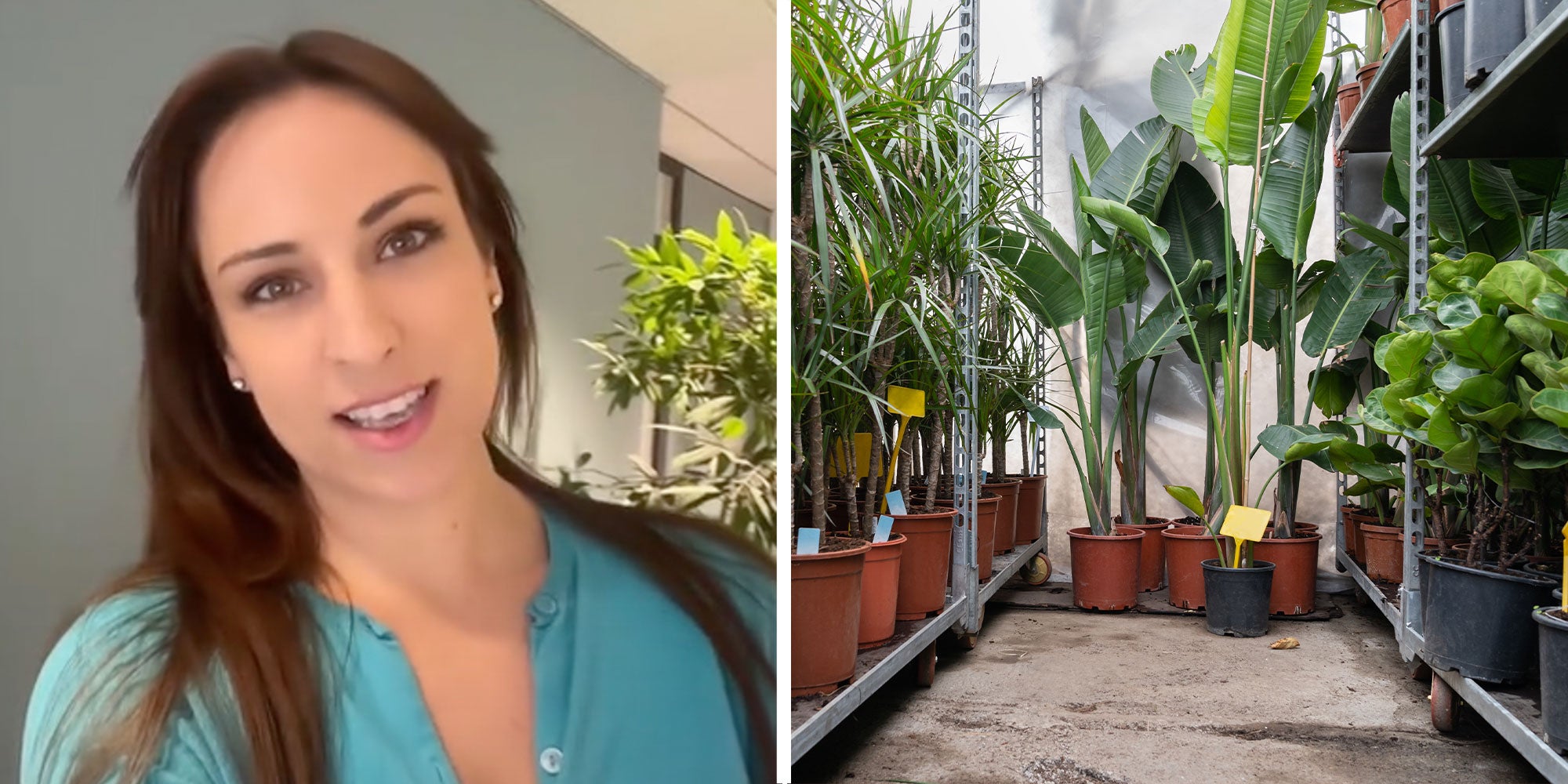 Two panel design with a woman talking from inside a building, next to an image of plants in a store