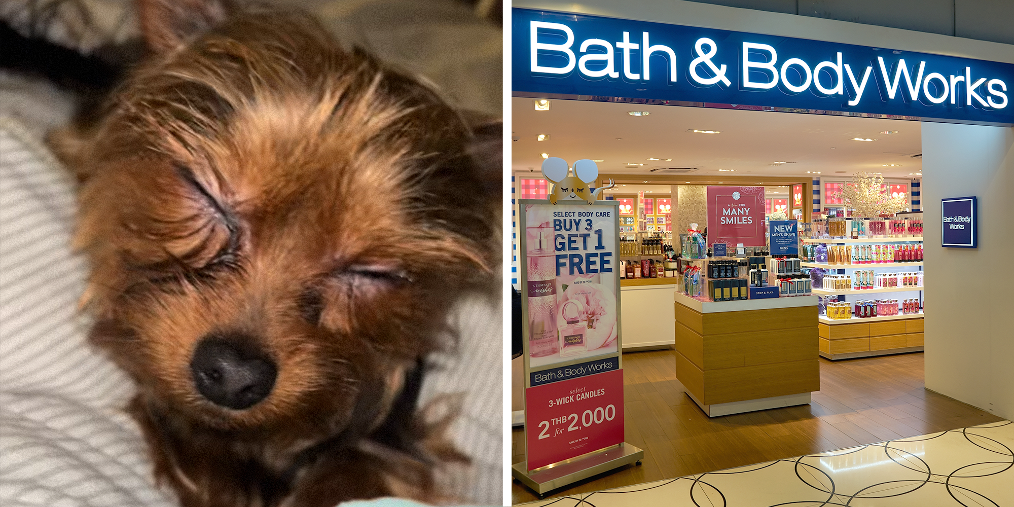 Homepage article image