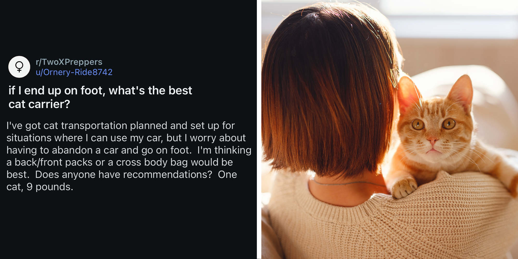 Homepage article image