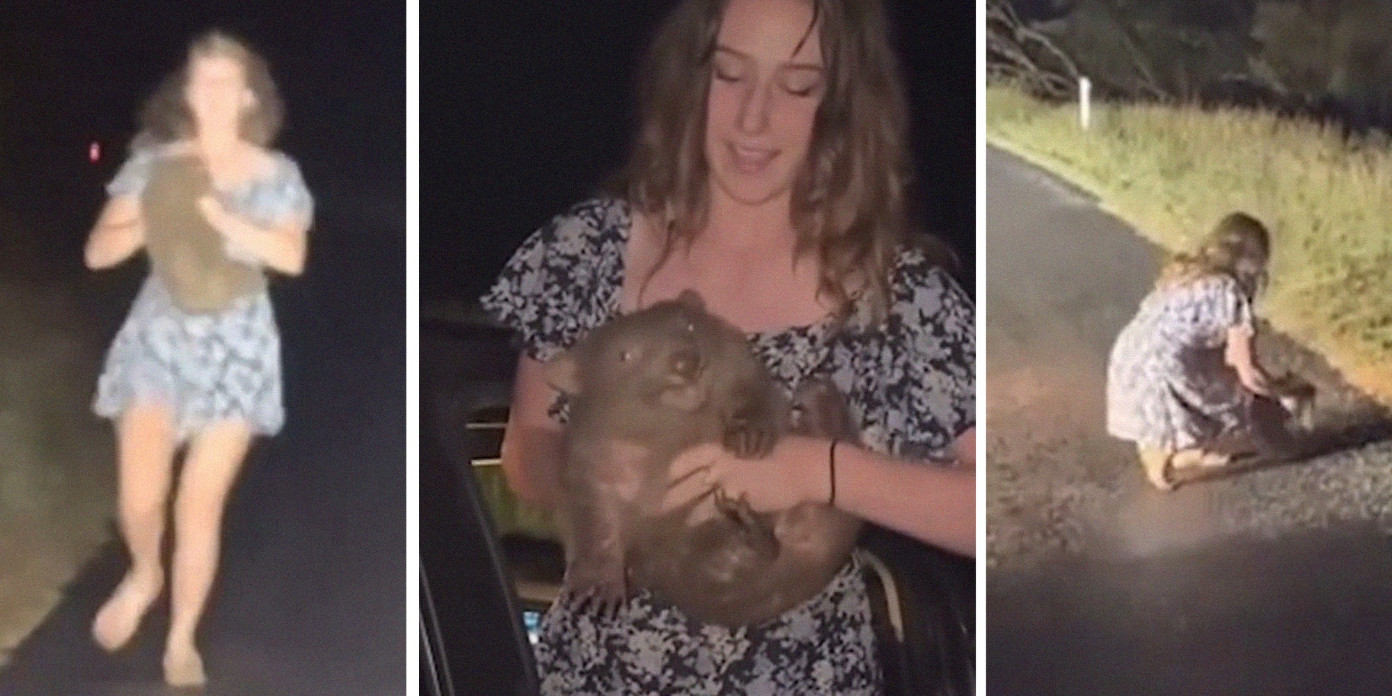American influencer under fire for taking baby wombat from its mother
