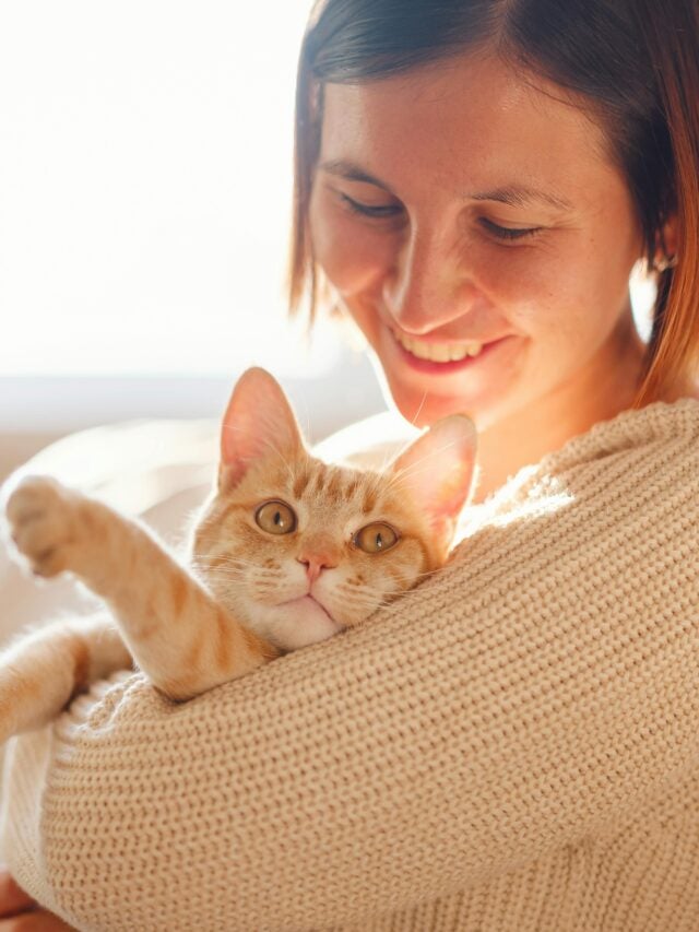 woman holding cat stock