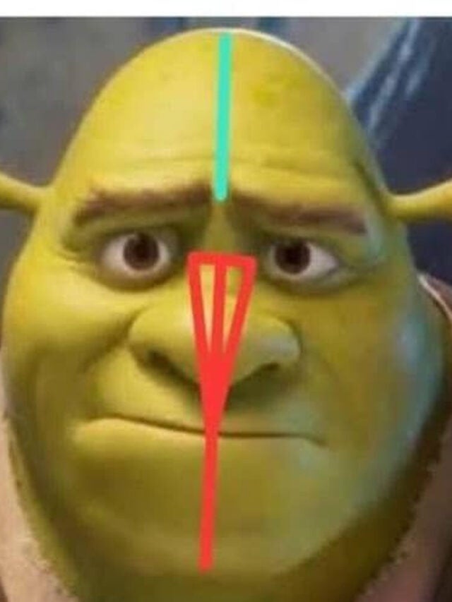 Split of older shrek and new shrek with shapes over their face and text 'subliminal feminization of childrens media pt. 6'