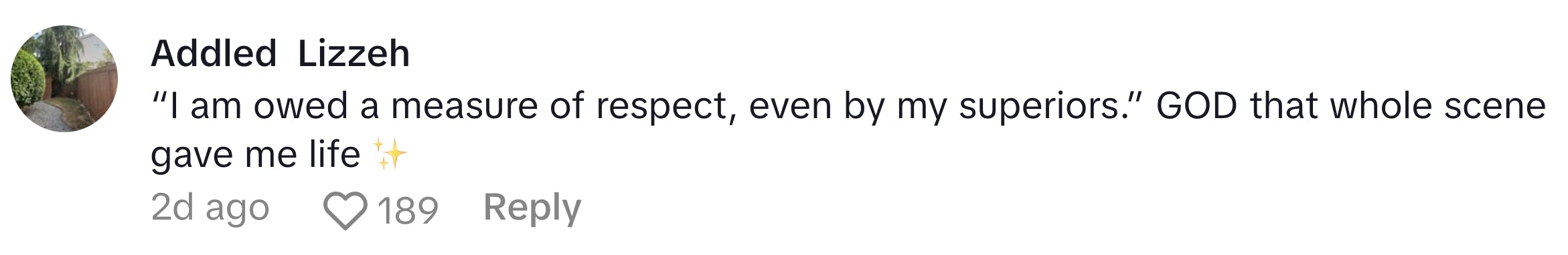 TikTok comment, text reads, ''I am owed a measure of respect, even by my superiors.' GOD that whole scene gave me life (sparkle emoji)'