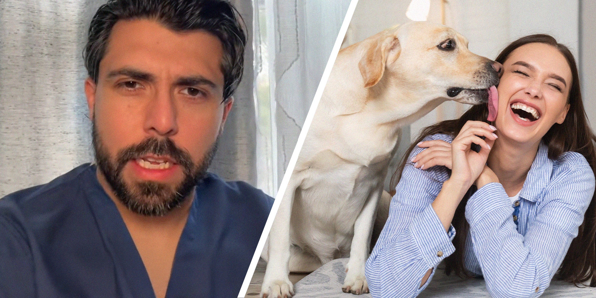 doctor shares the dangers of dog licking your face(l) Dog Licker Womans face while she laughs(r)