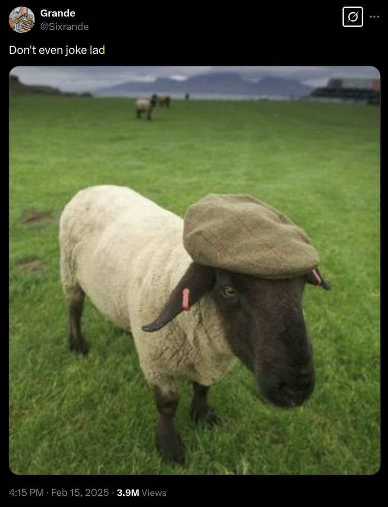 Don't Even Joke Lad: How A Fandom Meme Escaped Containment