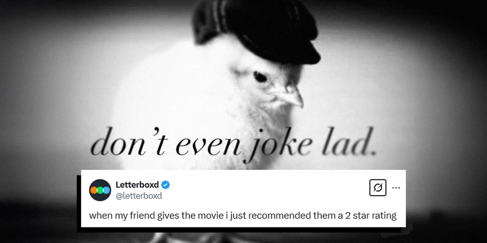 Don't Even Joke Lad: How A Fandom Meme Escaped Containment