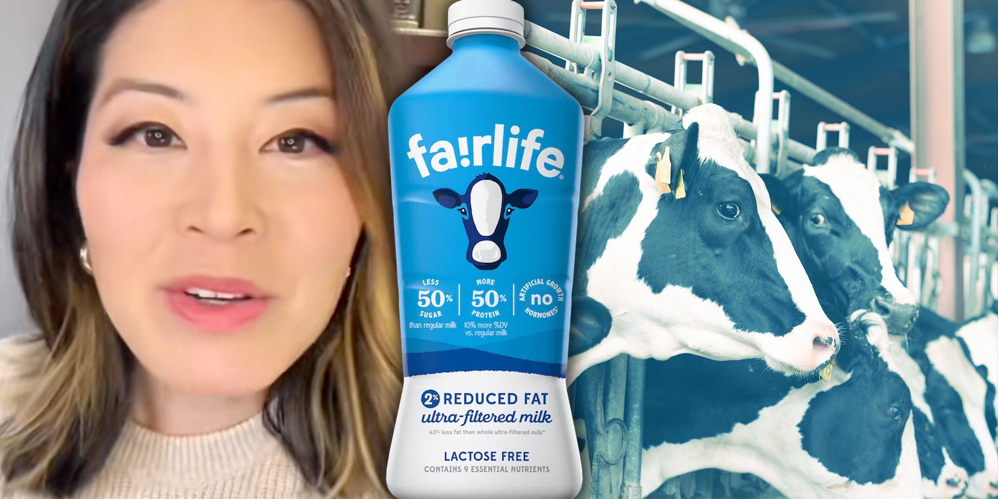Screenshot of Tiktok user @thelawyerangela; Photo of a bottle of Fairlife Reduced Fat Milk; Photo of Dairy cows.
