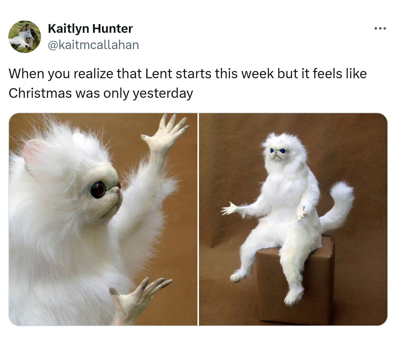 Lent meme, text reads, 'When you realize that Lent starts this week but it feels like Christmas was only yesterday' with movable cat statue giving a 'WTF' pose.