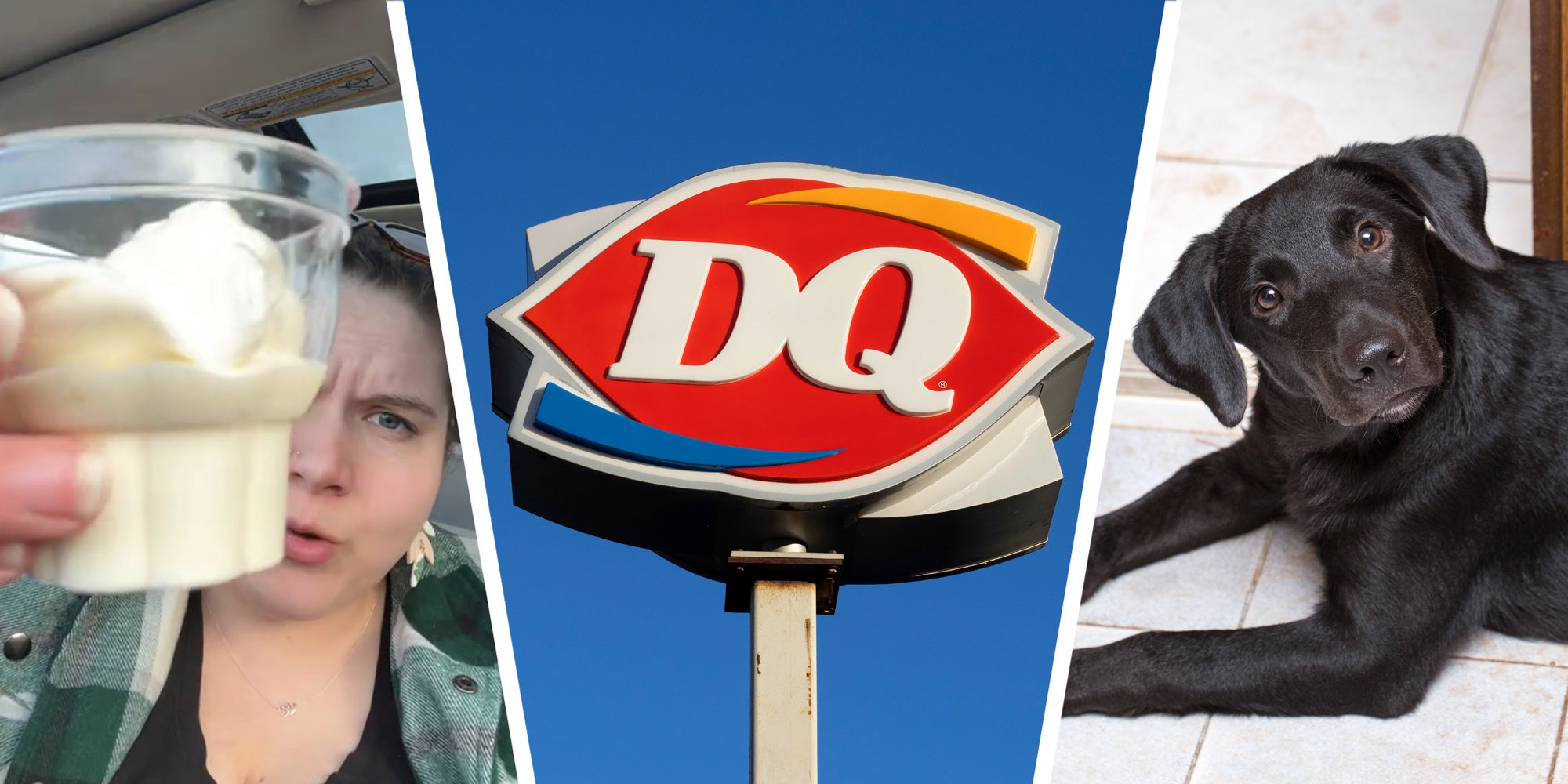 3 panel image: a person explains and holds up a cup of ice cream, the Dairy Queen sign, and a dog looking confused.
