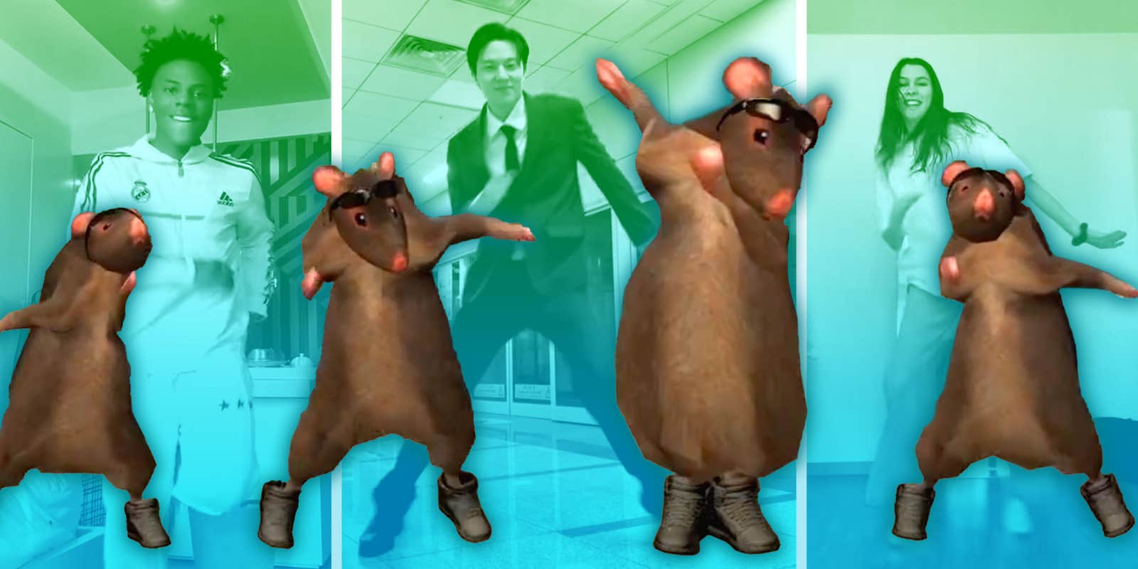 The Rat Dance Meme Is Taking Over TikTok