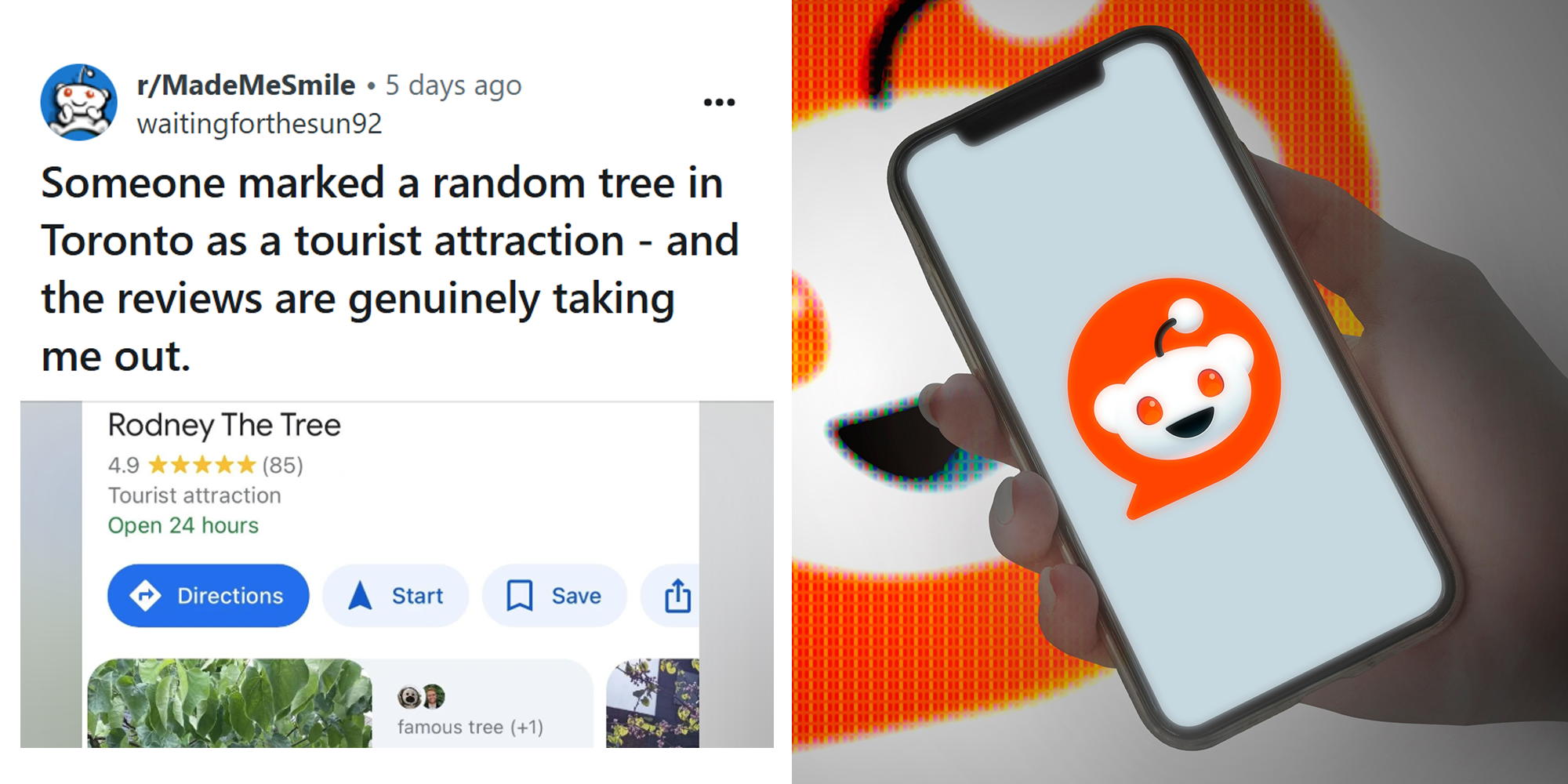 Homepage article image