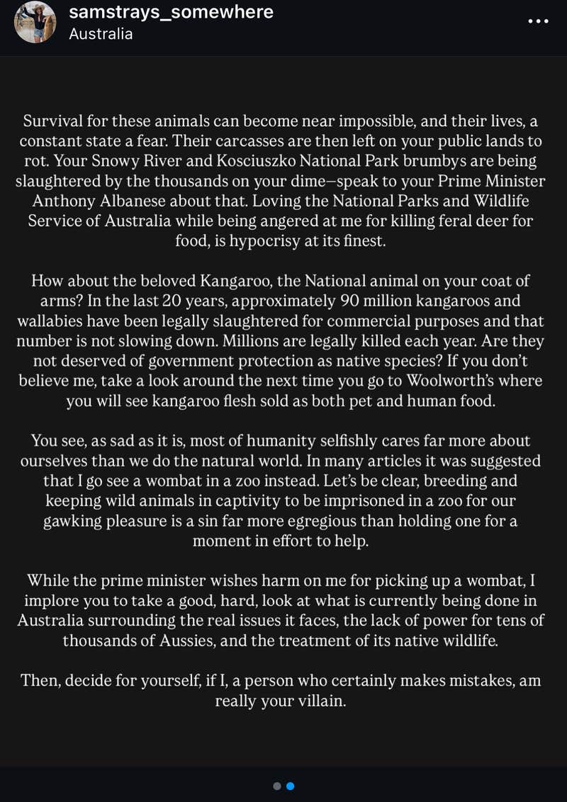 Internet furious after influencer Sam Jones pulls baby wombat from ...