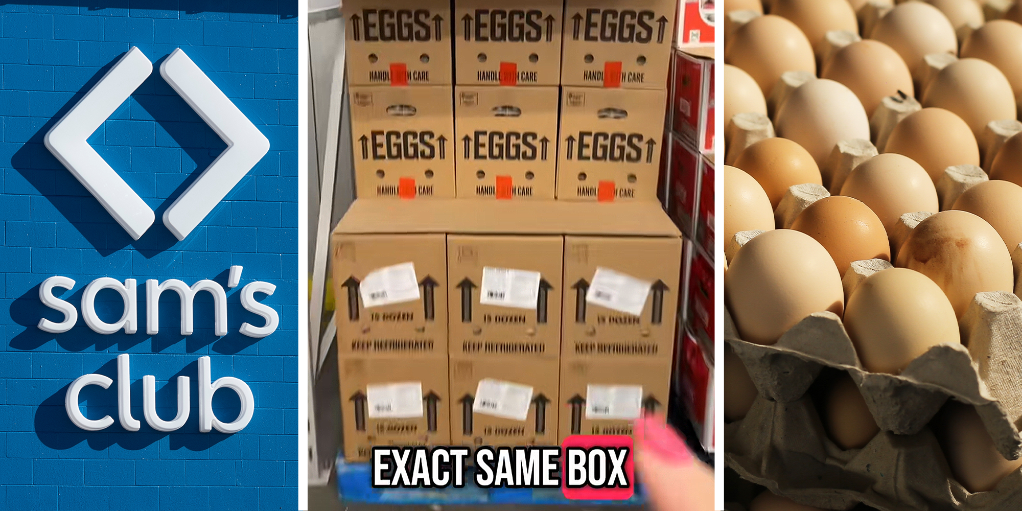 3 image split. Sam's club sign on left. Tik Tok screenshot of eggs in store in bulk boxes with text overlayed that reads: 'exact same box' in center. Eggs in carton on right.