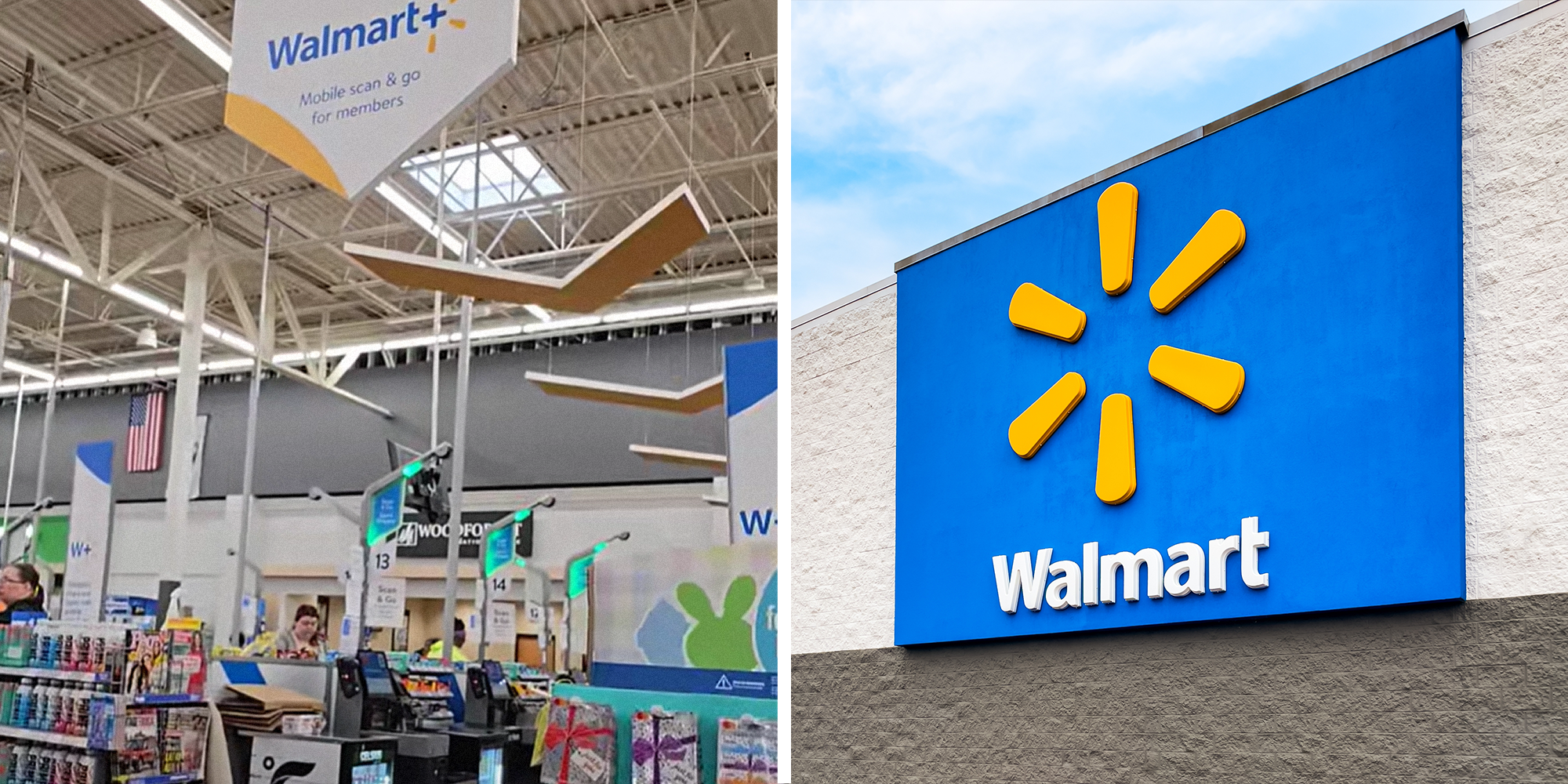 Homepage article image