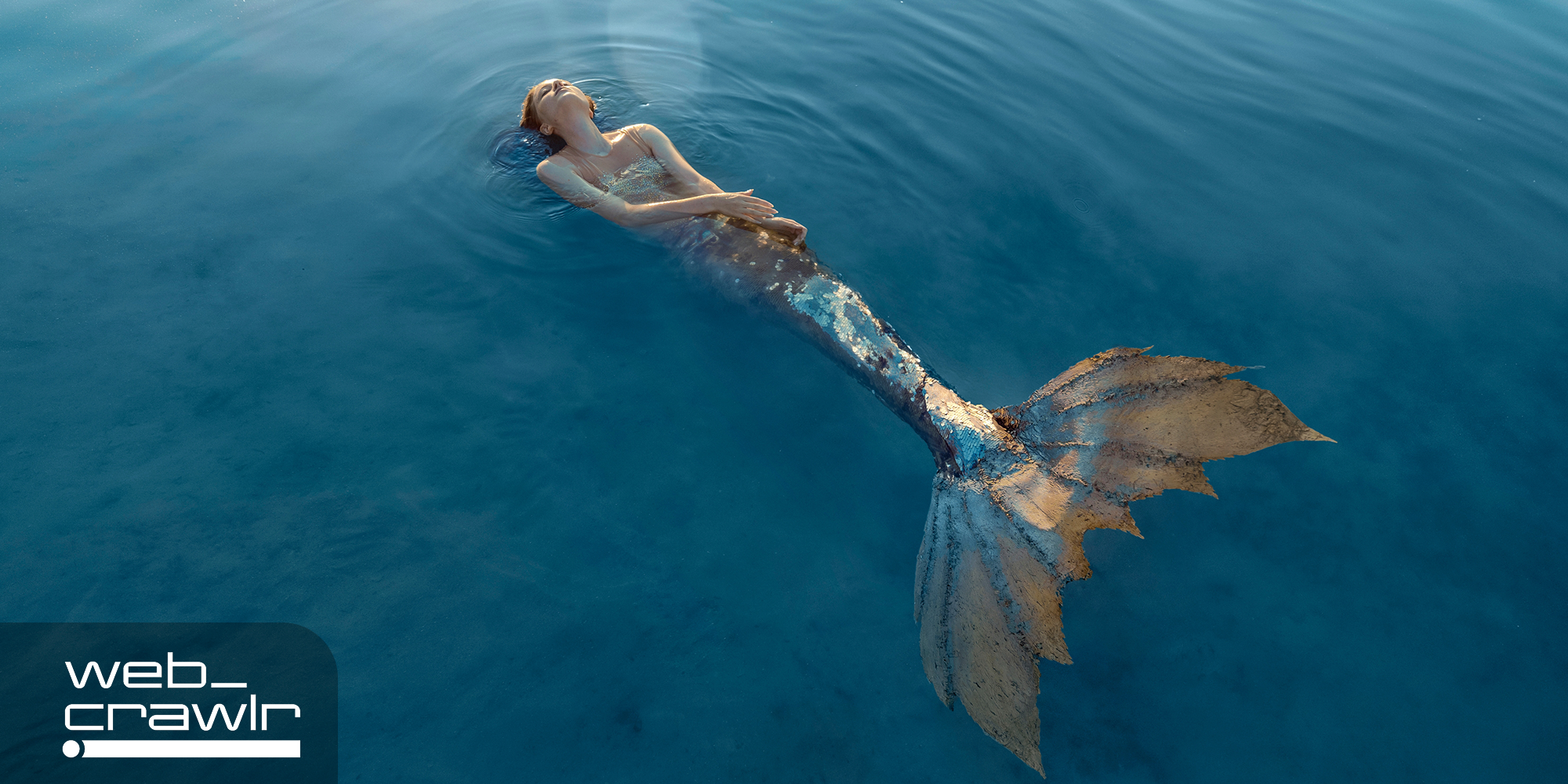 A mermaid. The Daily Dot newsletter web_crawlr logo is in the bottom left corner.