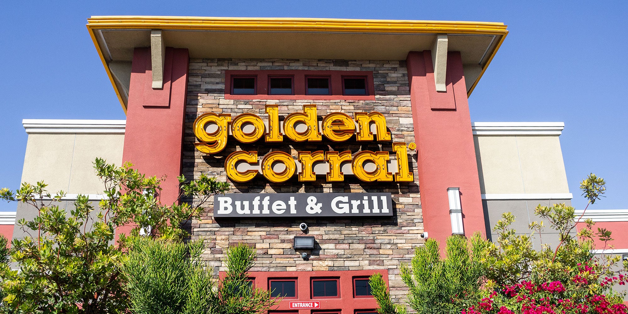 Homepage article image