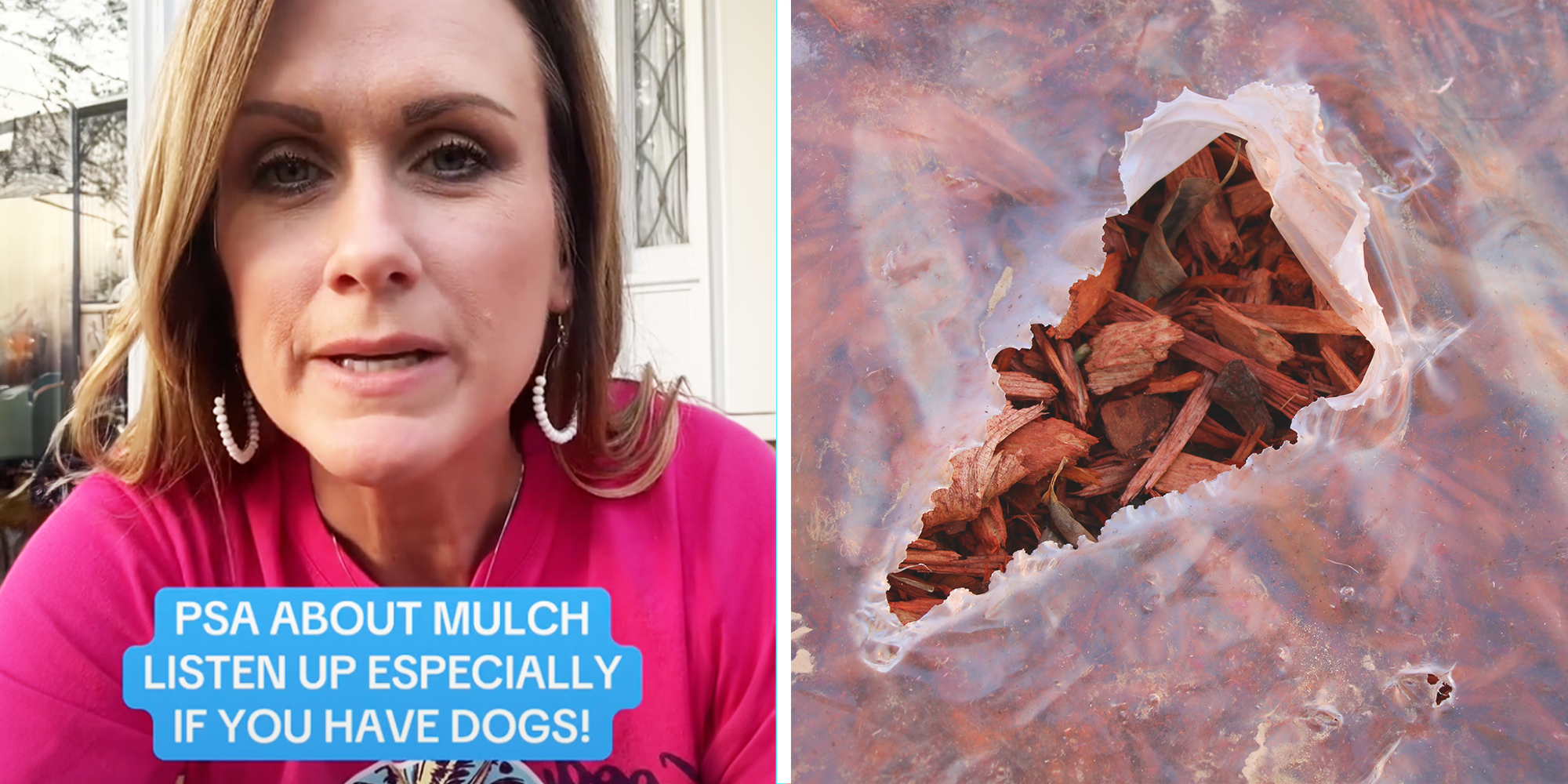 Women shares story of how her dog ate mulch and got sick, warns message to pet owners to be aware