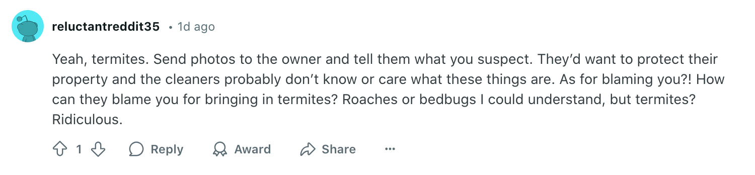 Comment urging user to go to owner
