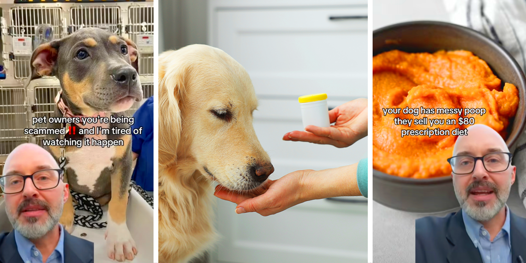 Dog gets fed unnecessary meds prescribed by vet, man gives clever diy hacks for pet owners