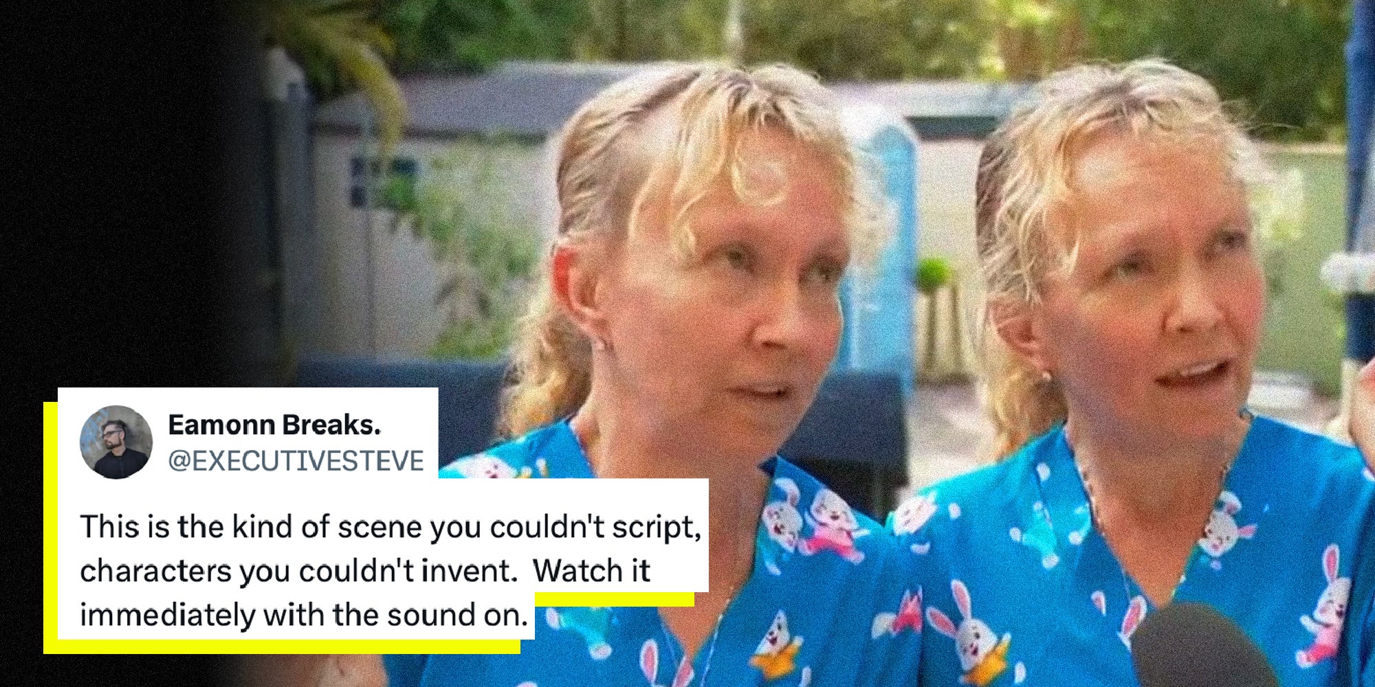 Image of the twins talking to a reporter with a tweet overlaid.