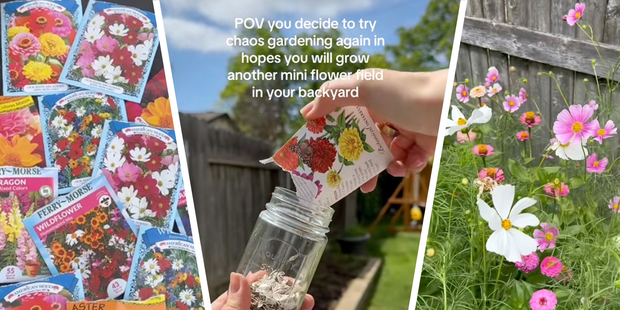 Screenshot from Tiktok user @fayehix of a pile of seed packets; Screenshot of Tiktok user @sarah.hayroyan filling a jar with wildflower seeds with the caption: "POV you decide to try chaos gardening again in the hopes you will grow another mini flower field in your backyard"; Screenshot from Tiktok user @erinmccafferty47 of their chaos garden.