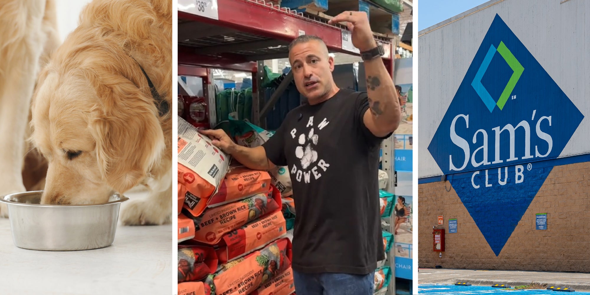 Do I have to feed the dog’s food from my dog ​​member?