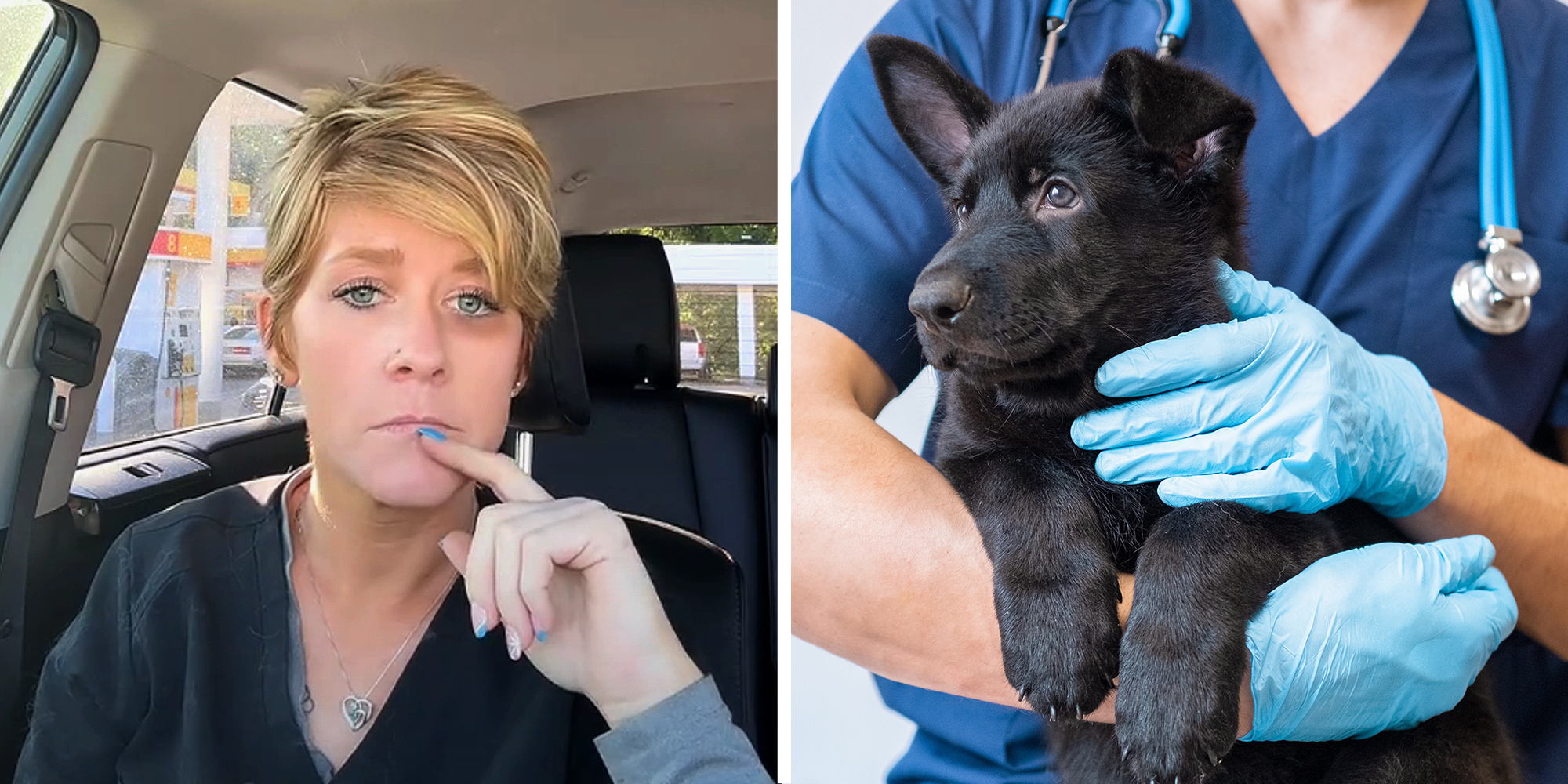 2 image split. Woman looking upset in car on left. Vet holding dog on right.