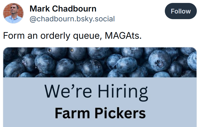 Bluesky post reading 'Form an orderly queue, MAGAts' with a job ad for farm pickers.