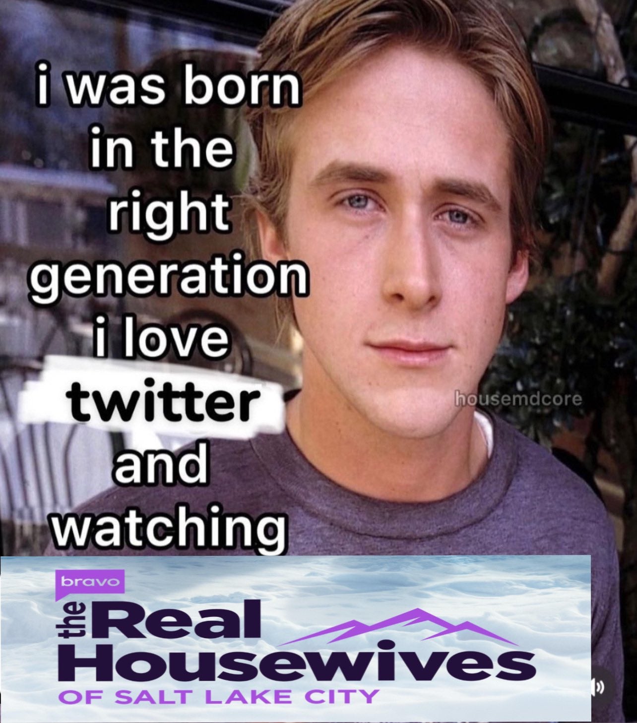 i was born in the right generation meme with the real housewives of salt lake city
