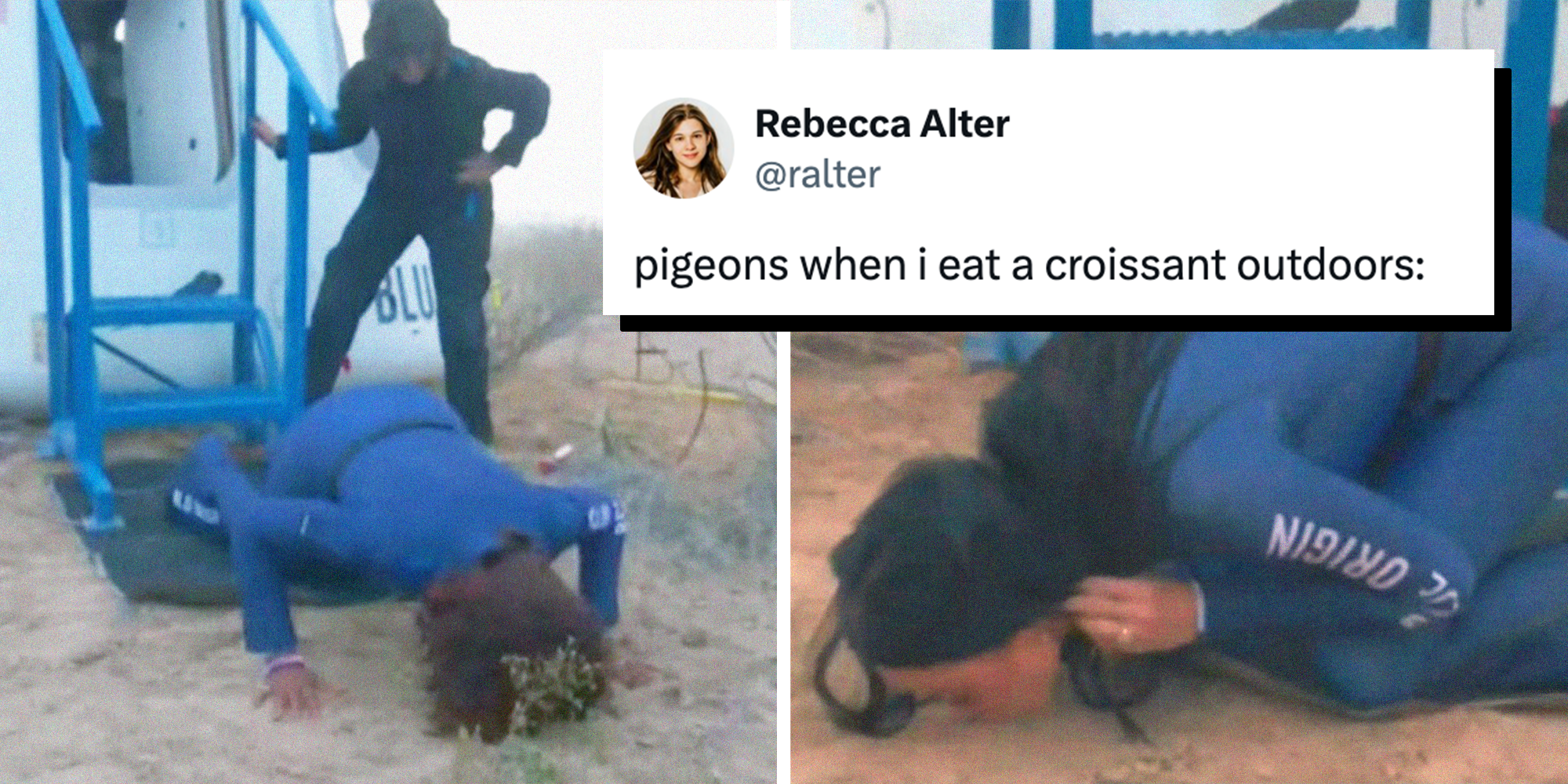 katy perry and gayle king kissing the ground with a tweet that says 'pigeons when i eat a croissant outdoors'